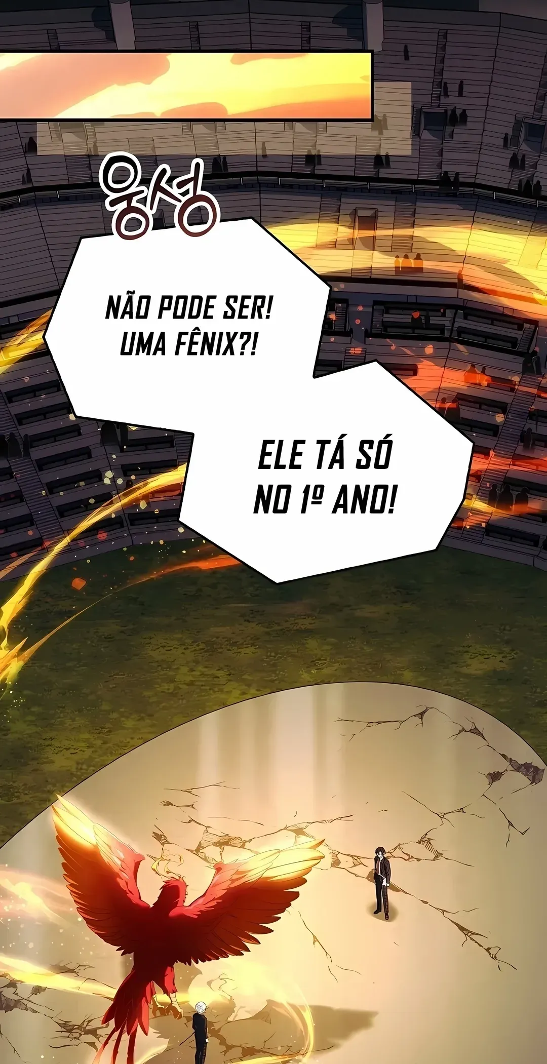Página 102