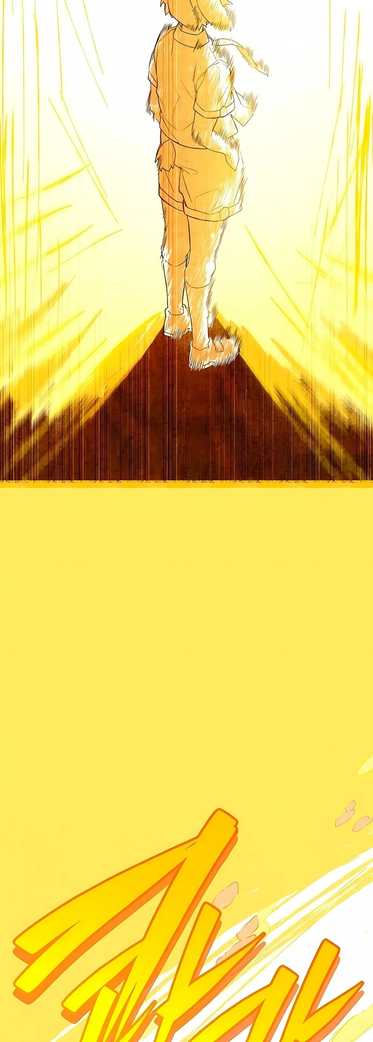 Página 111