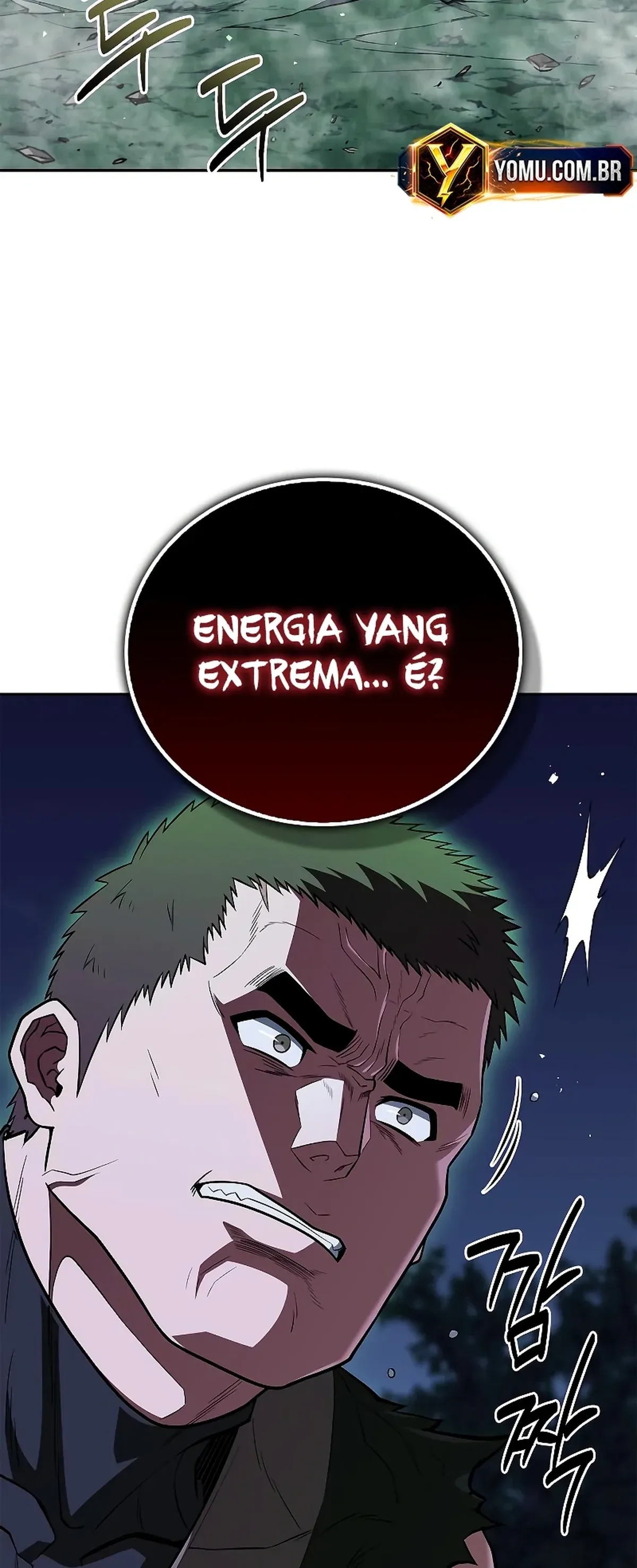 Página 100