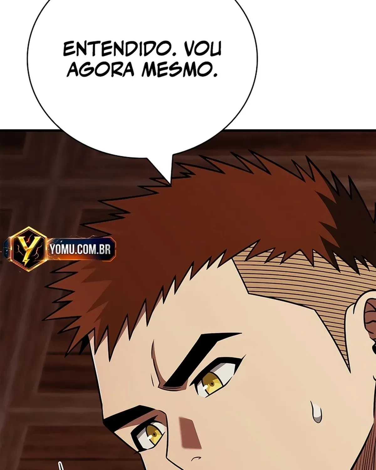 Página 111