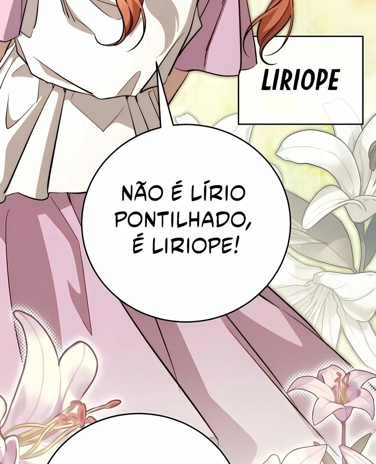 Página 53