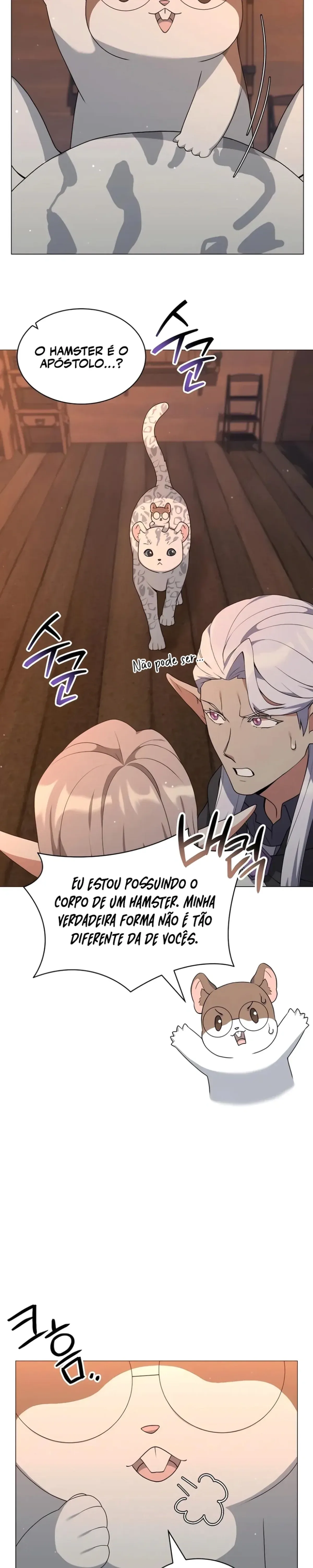 Página 31