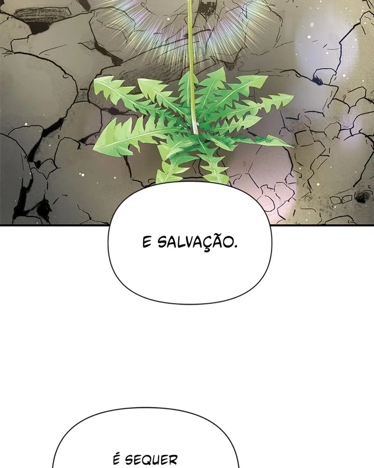 Página 119