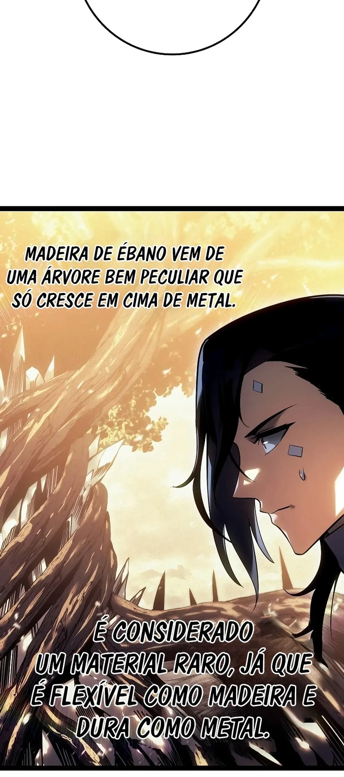 Página 111