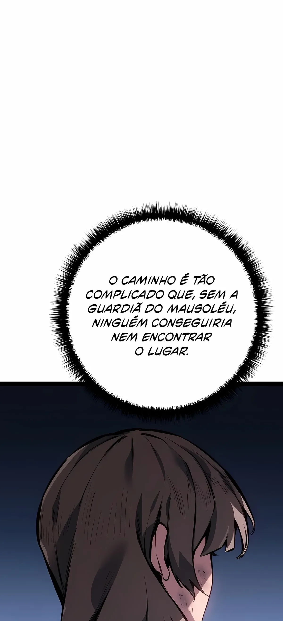 Página 113