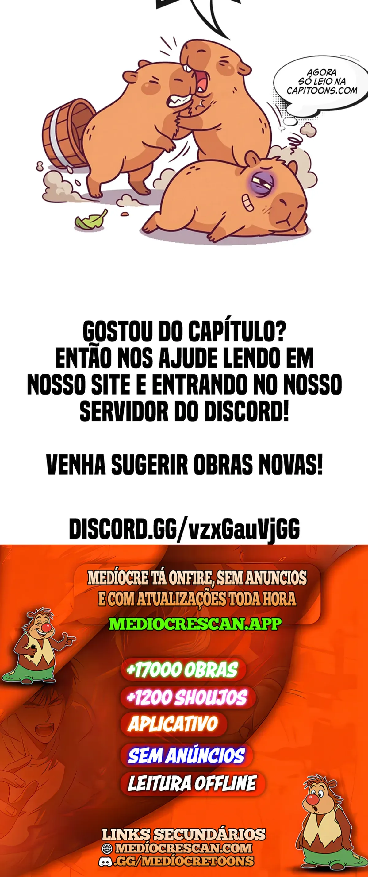 Página 17