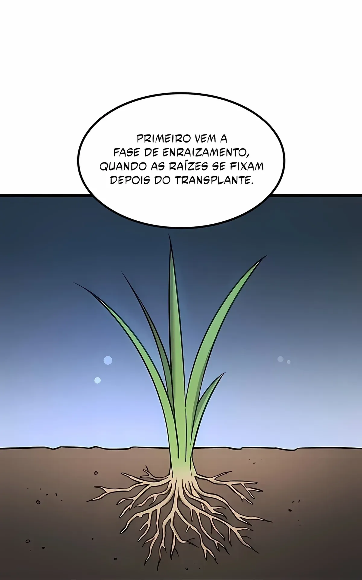 Página 77