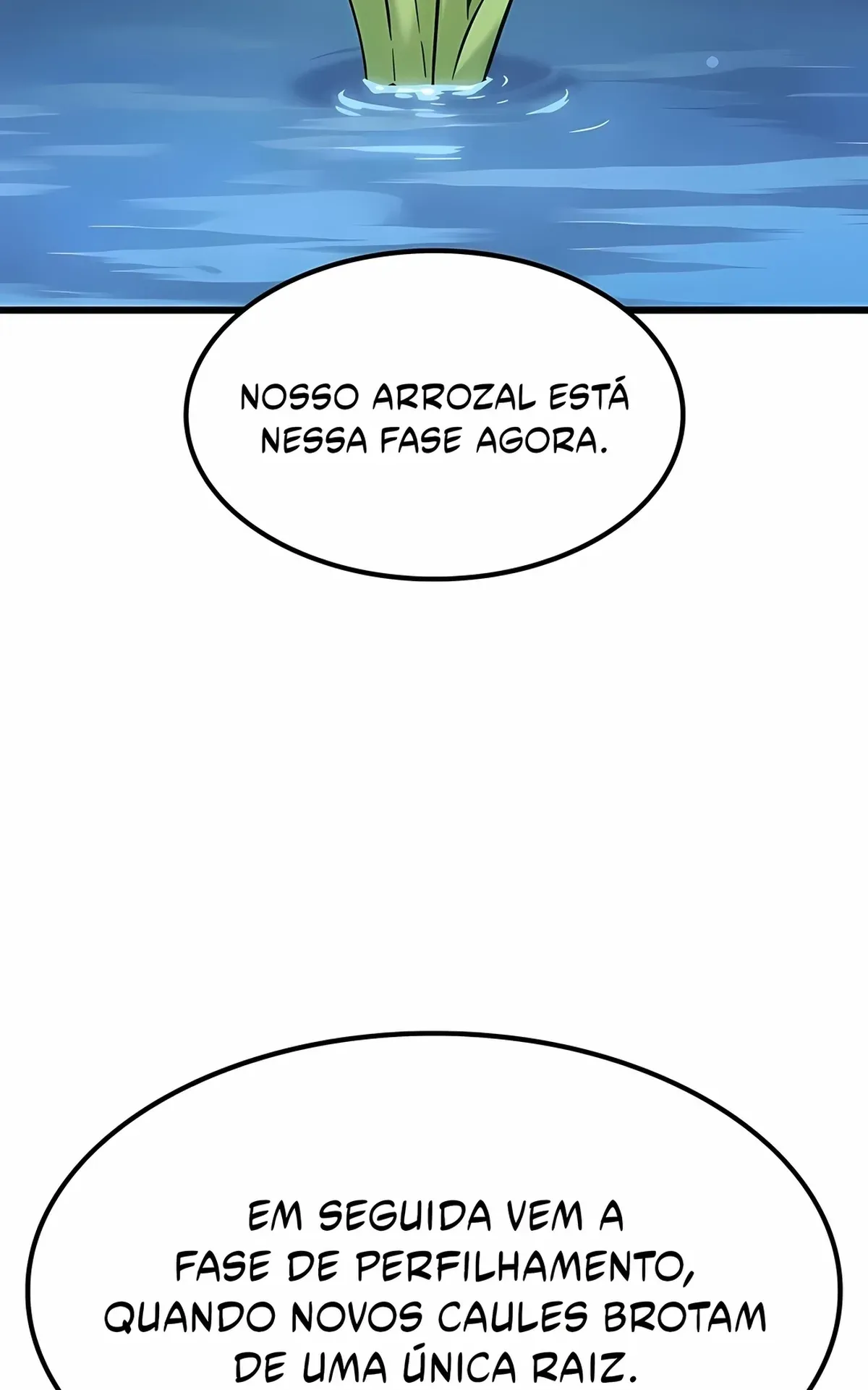 Página 79