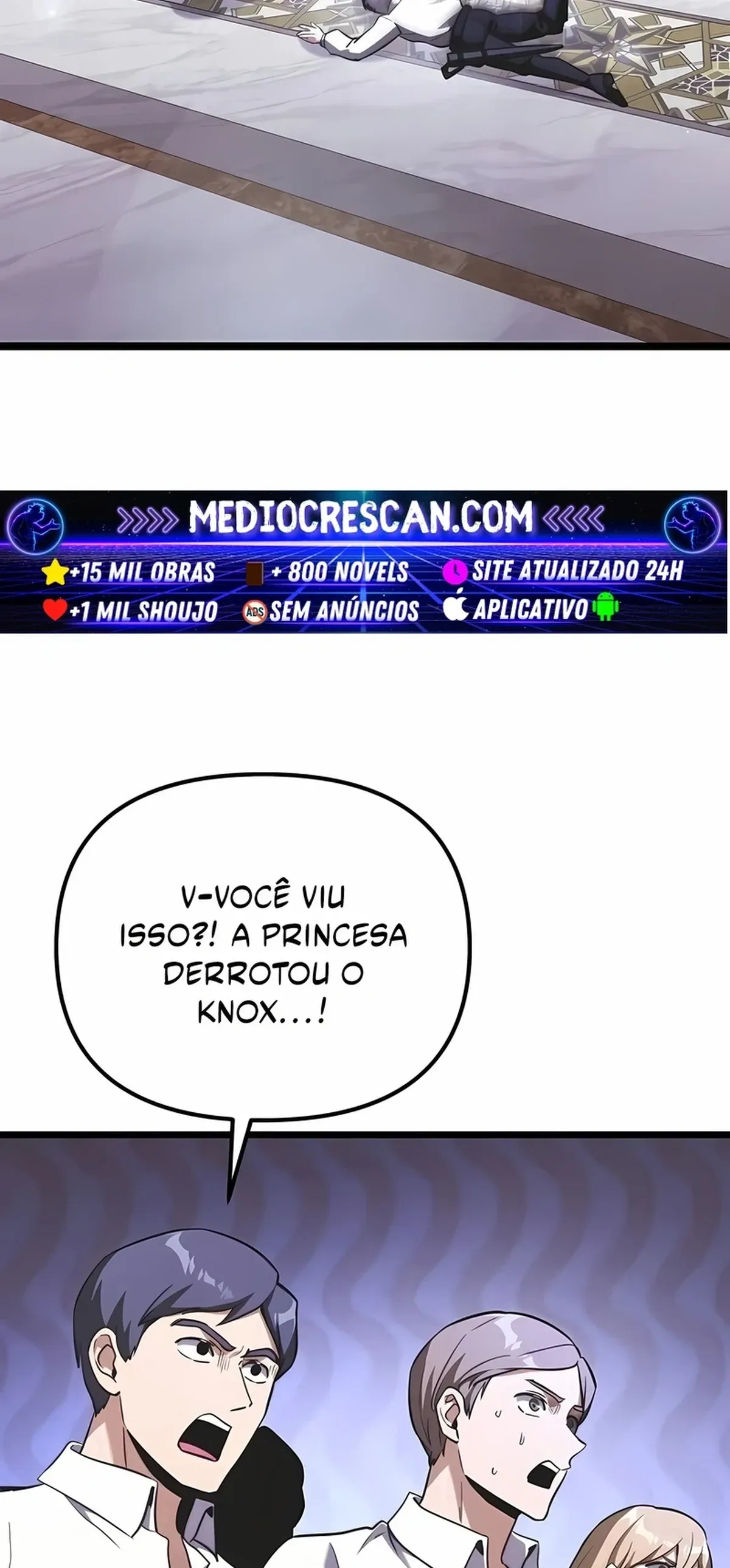 Página 29