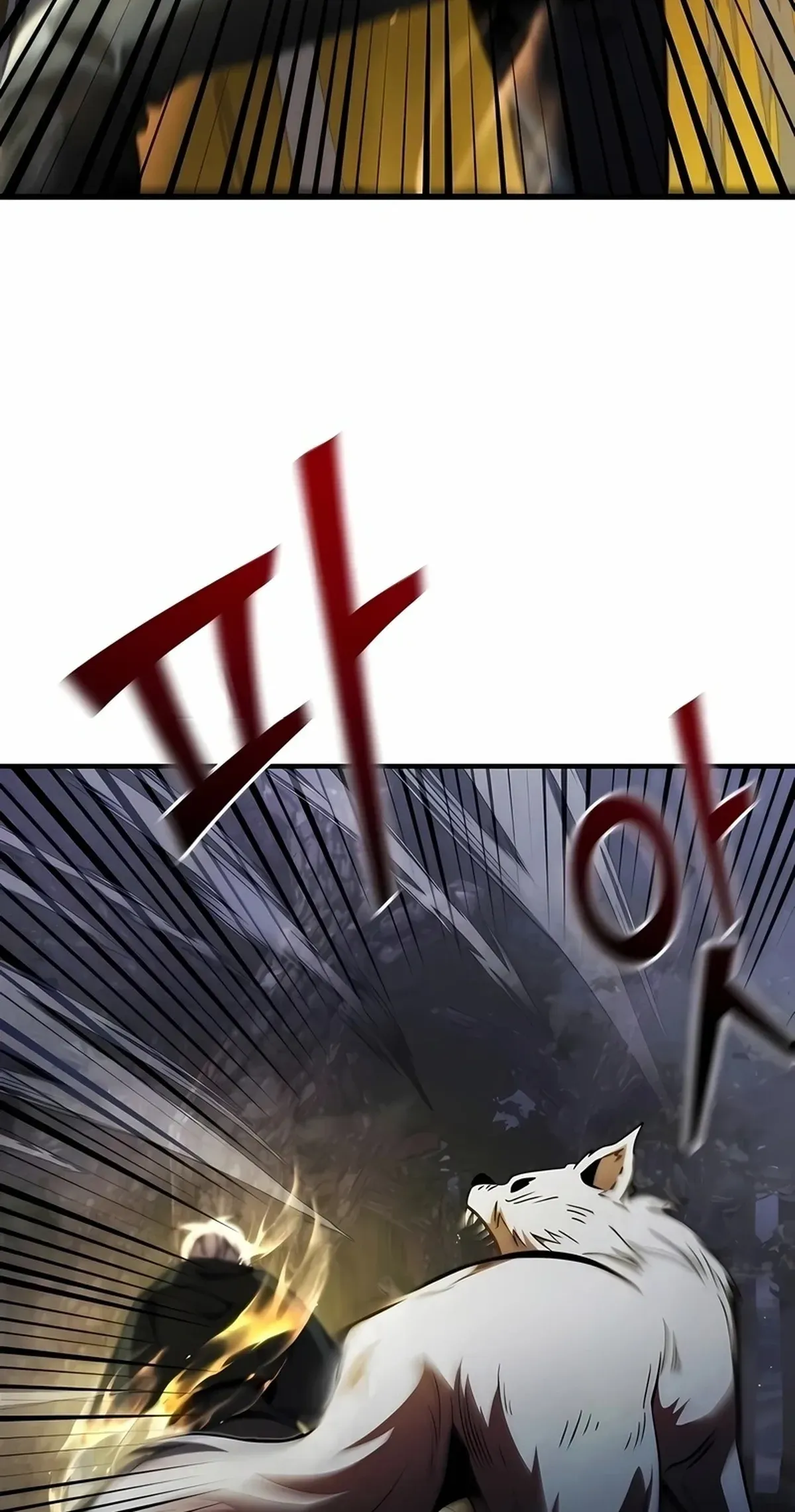 Página 107