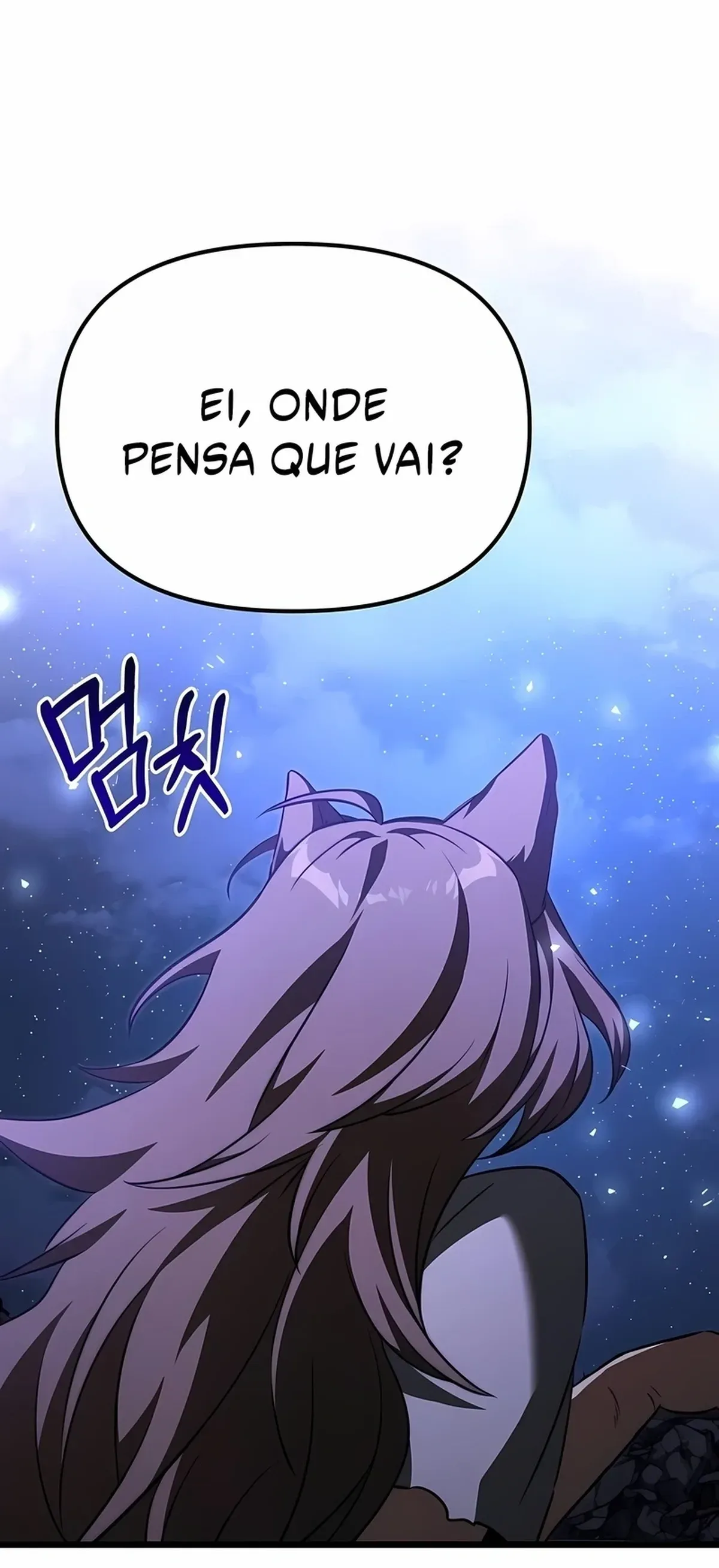 Página 51