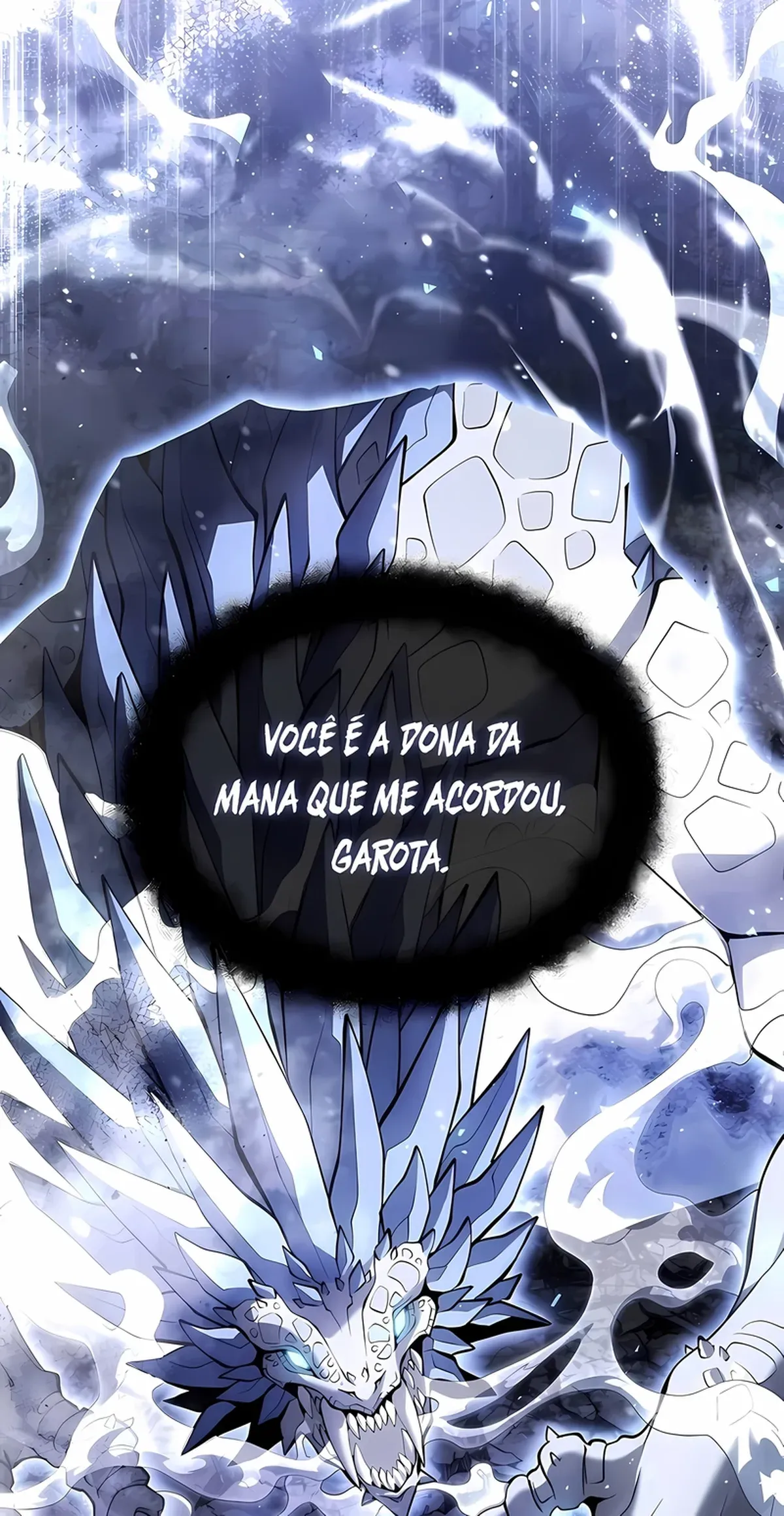 Página 111