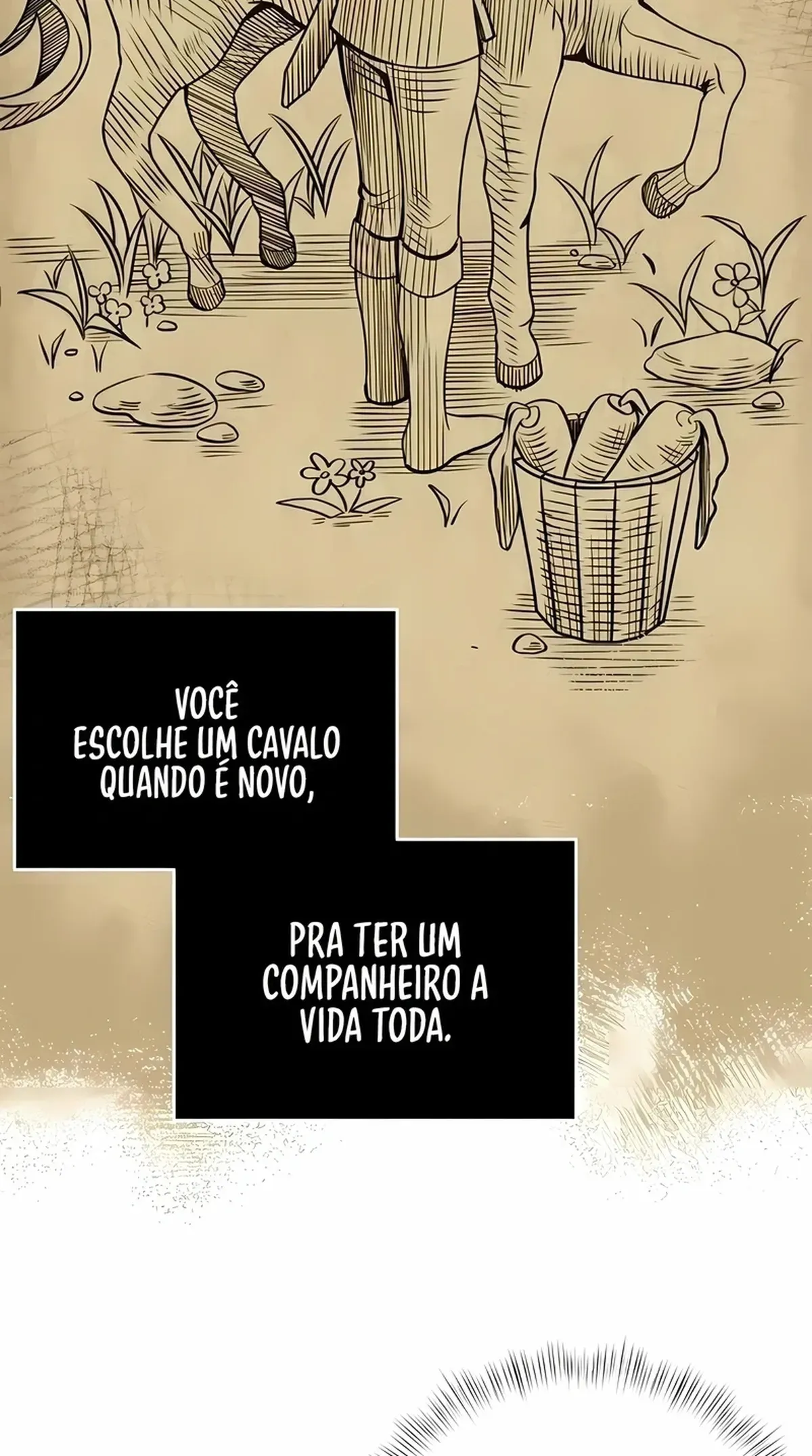 Página 45