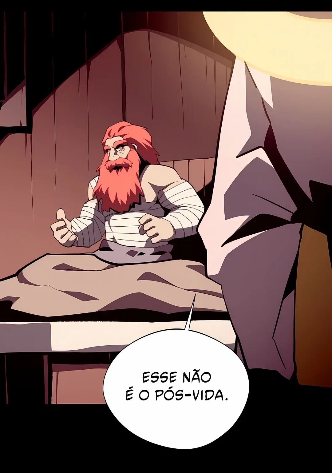 Página 29
