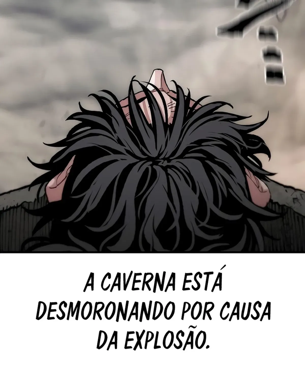 Página 101