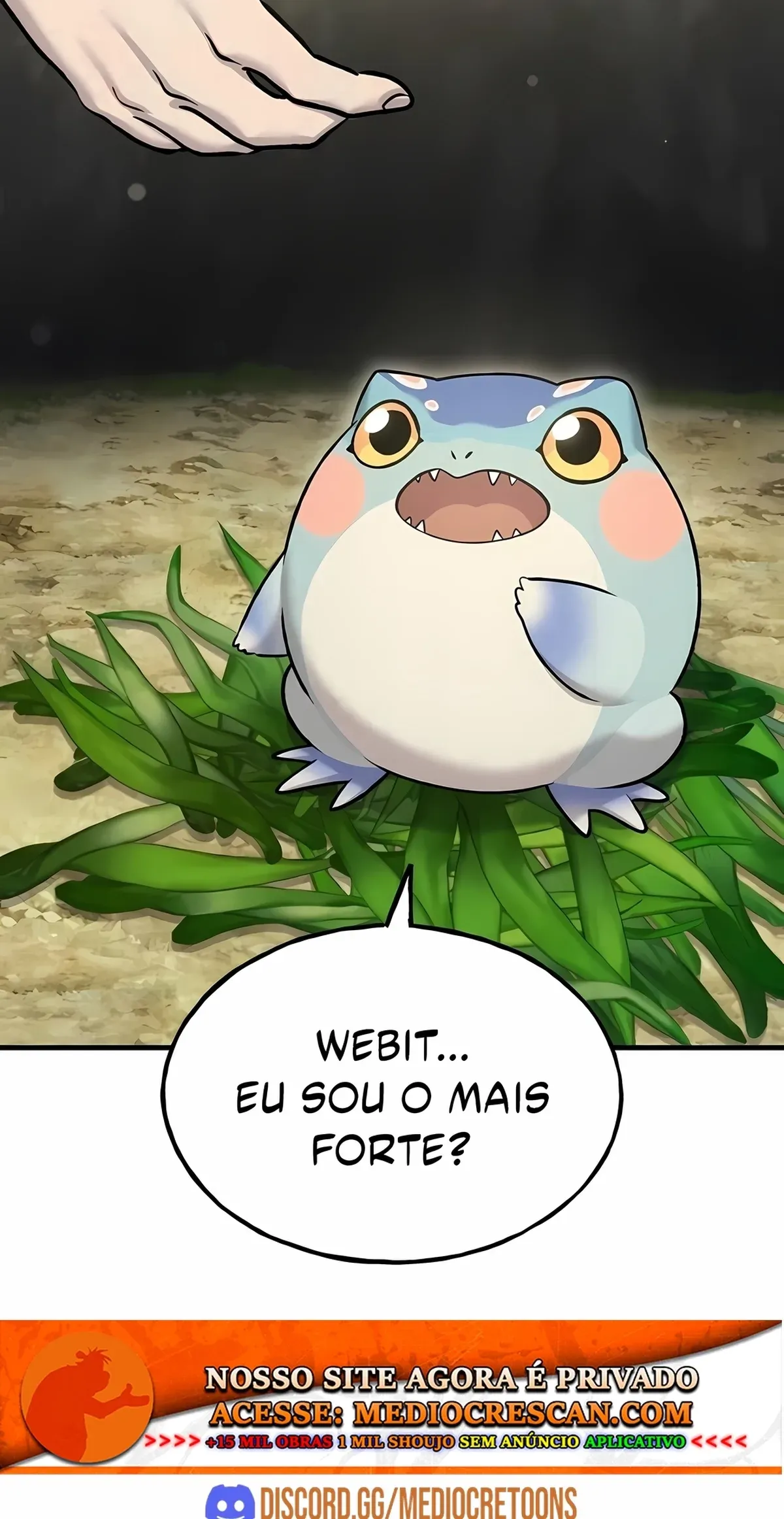 Página 33