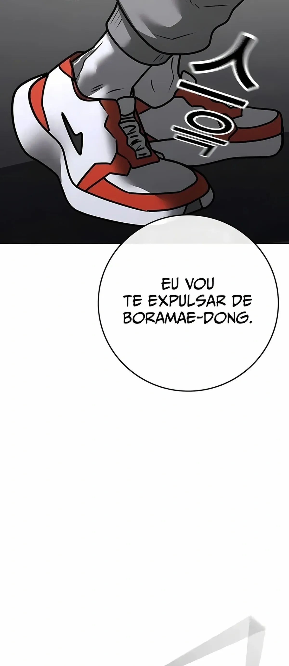 Página 107