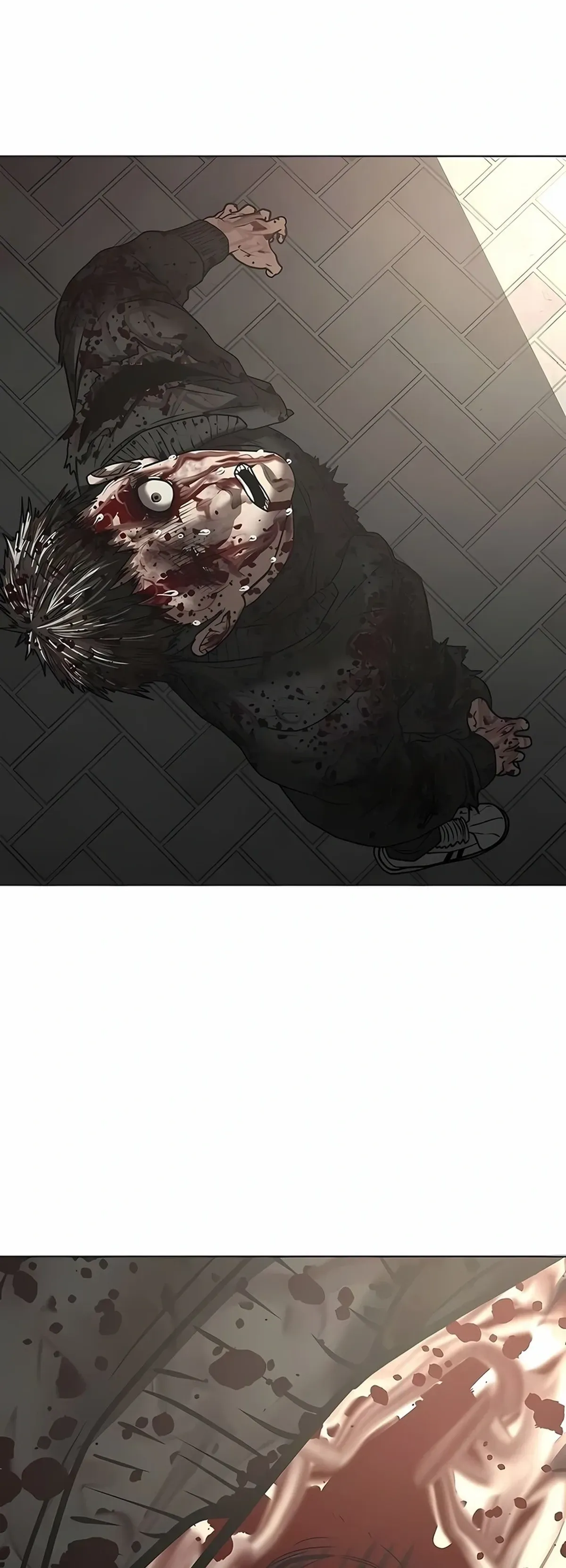Página 62