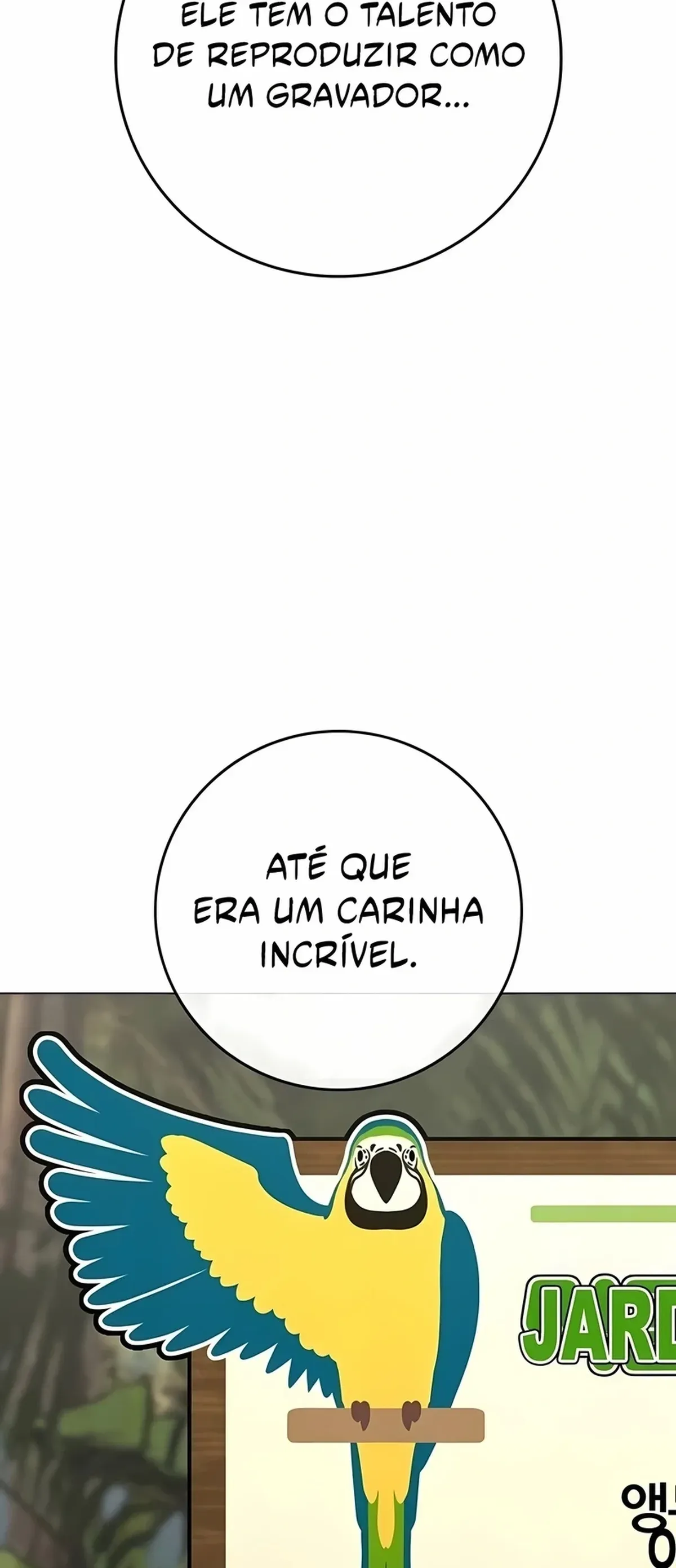 Página 29