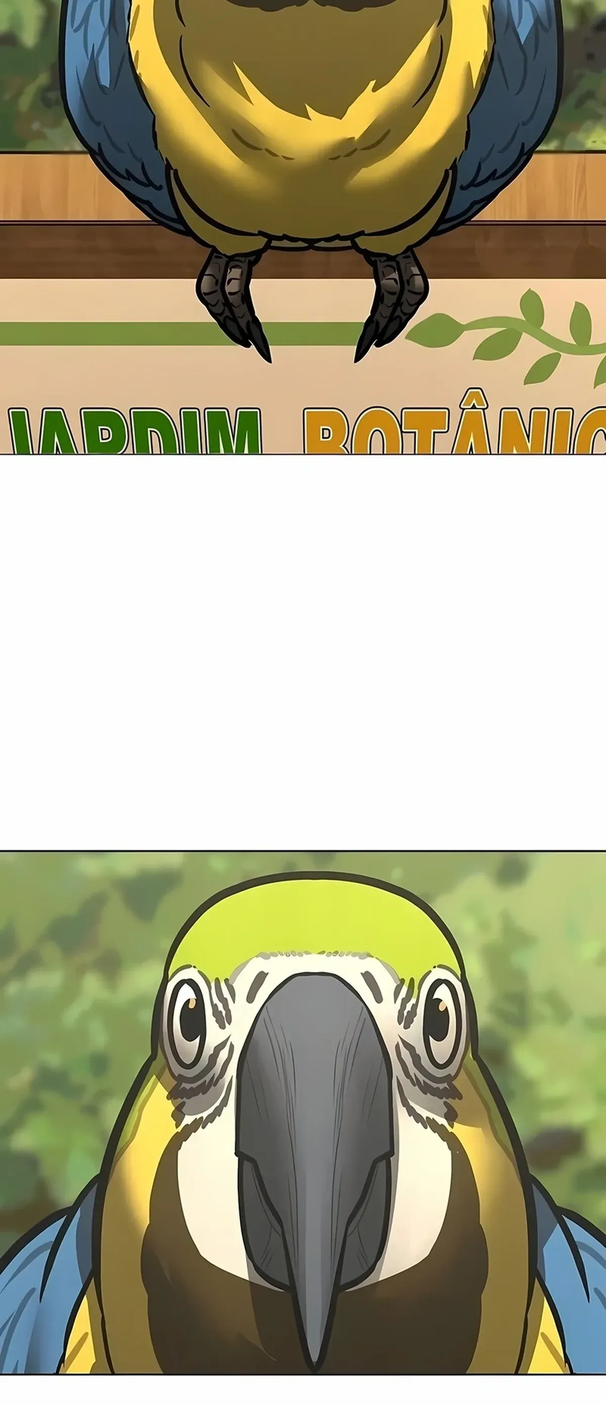 Página 40