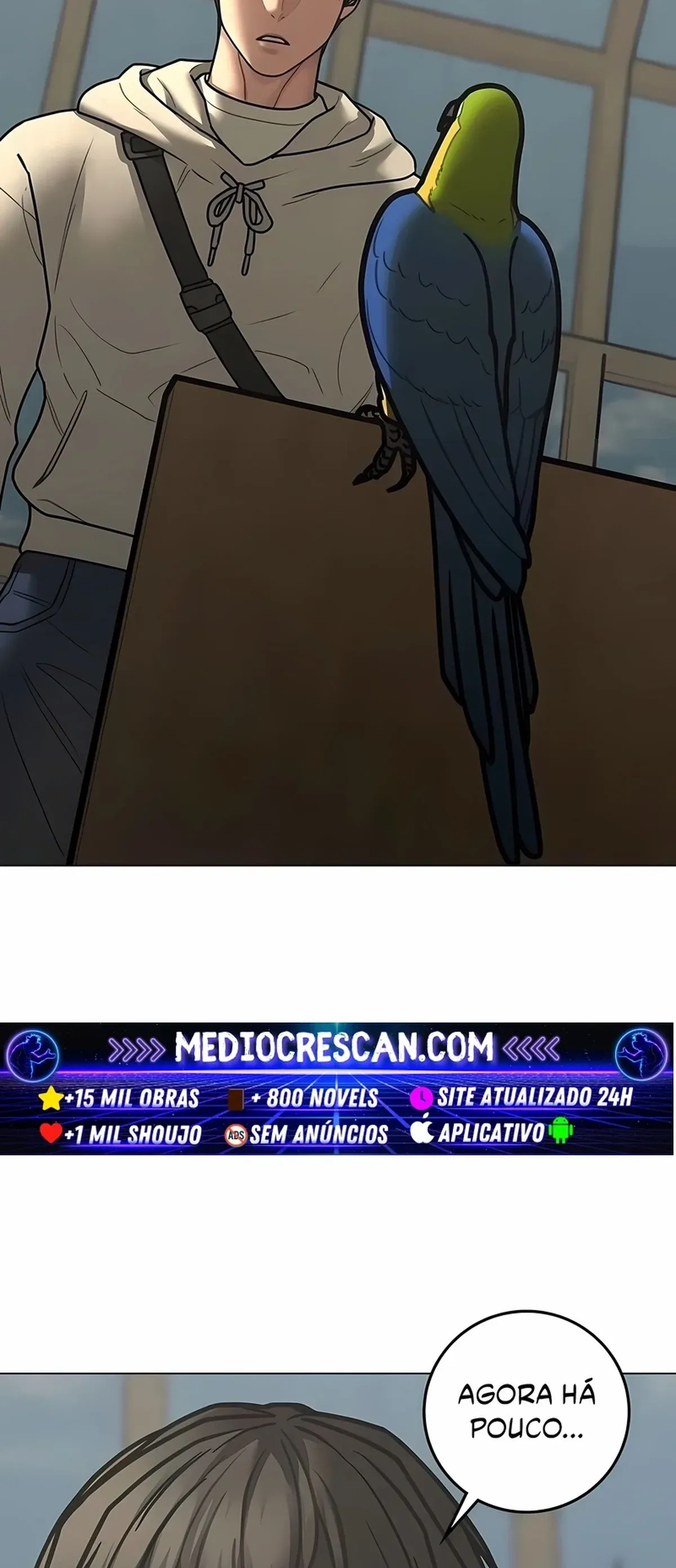 Página 43