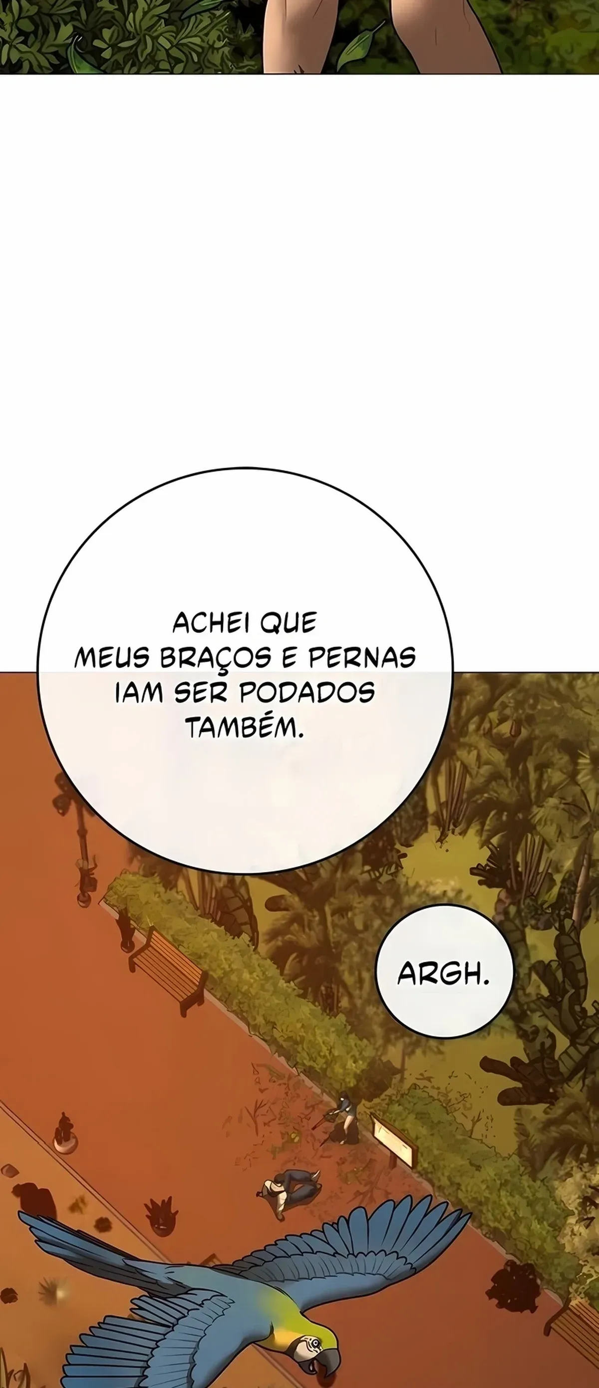 Página 91