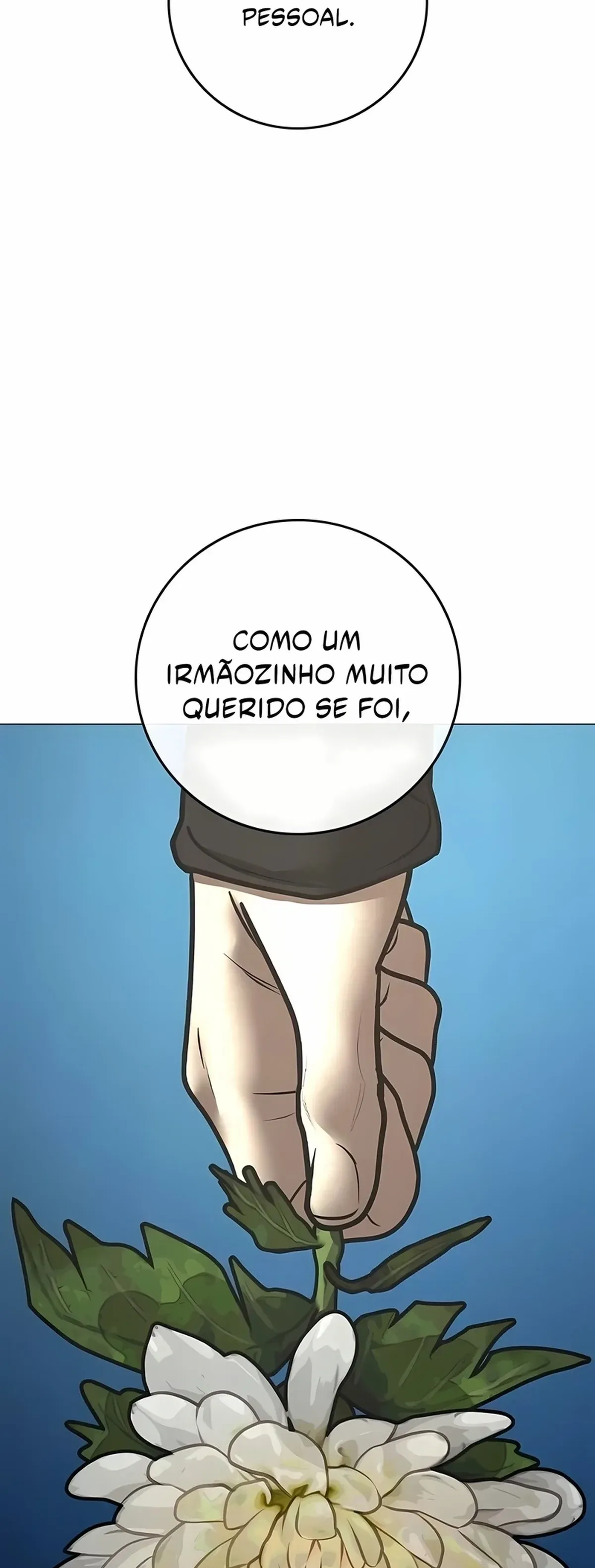 Página 117