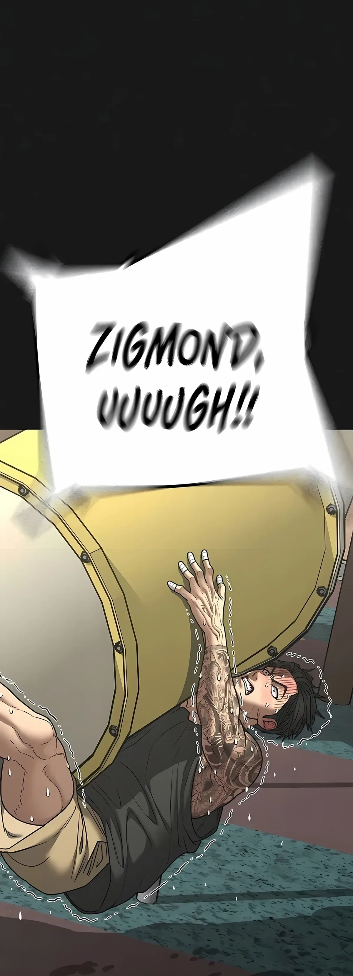 Página 46