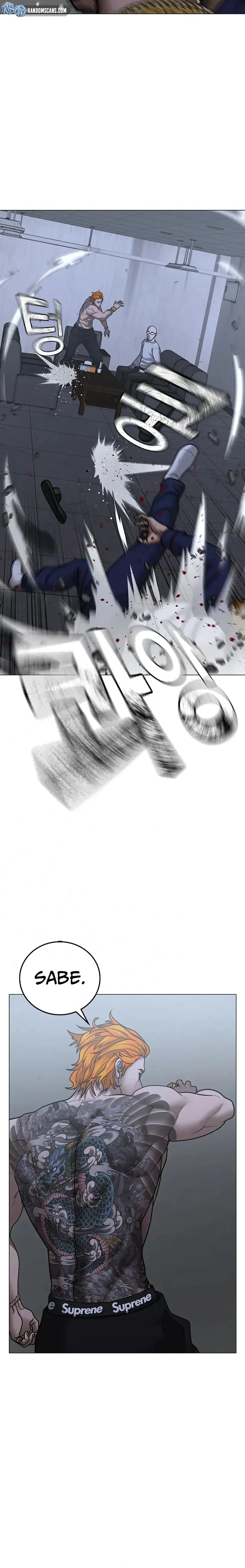Página 23
