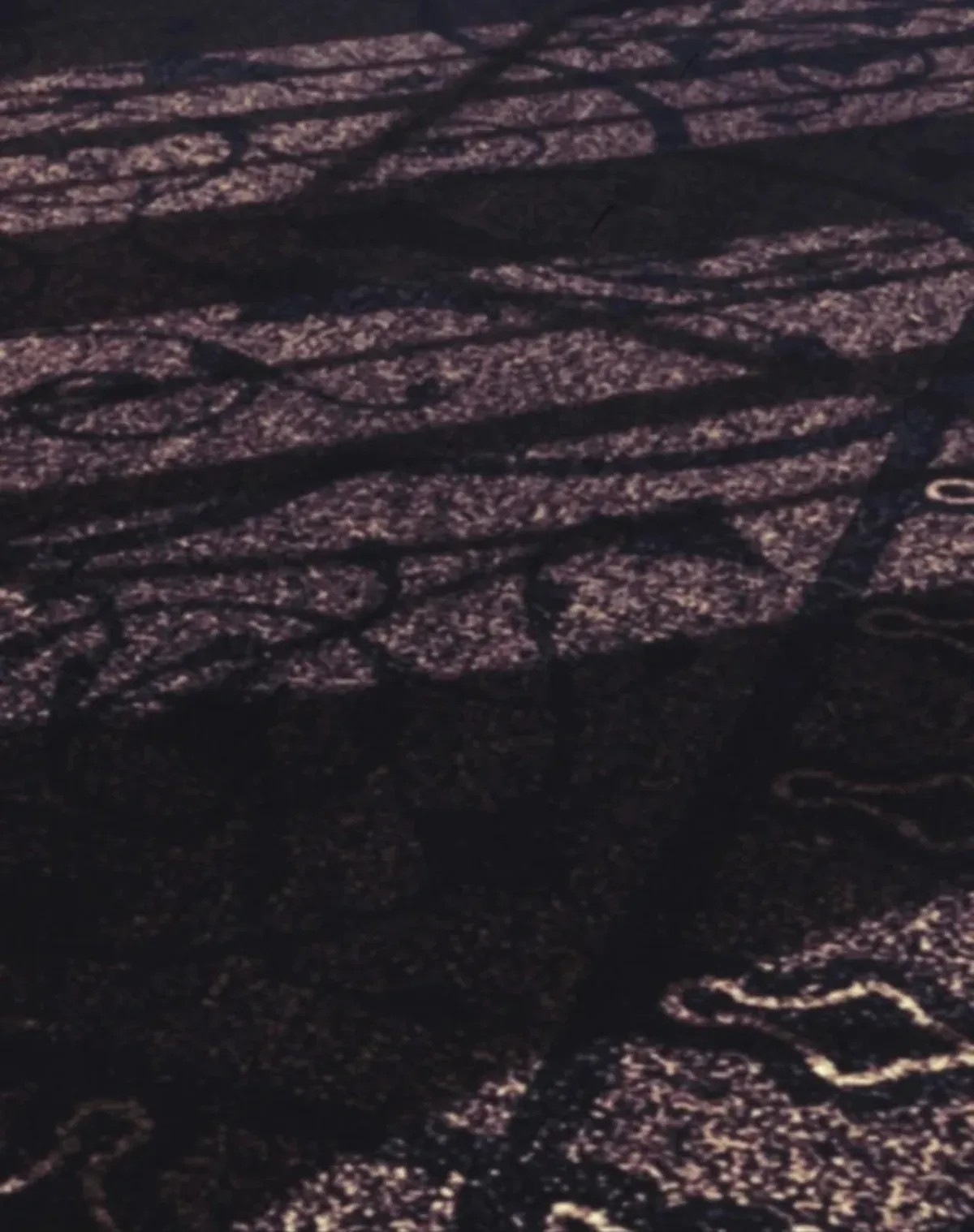 Página 83