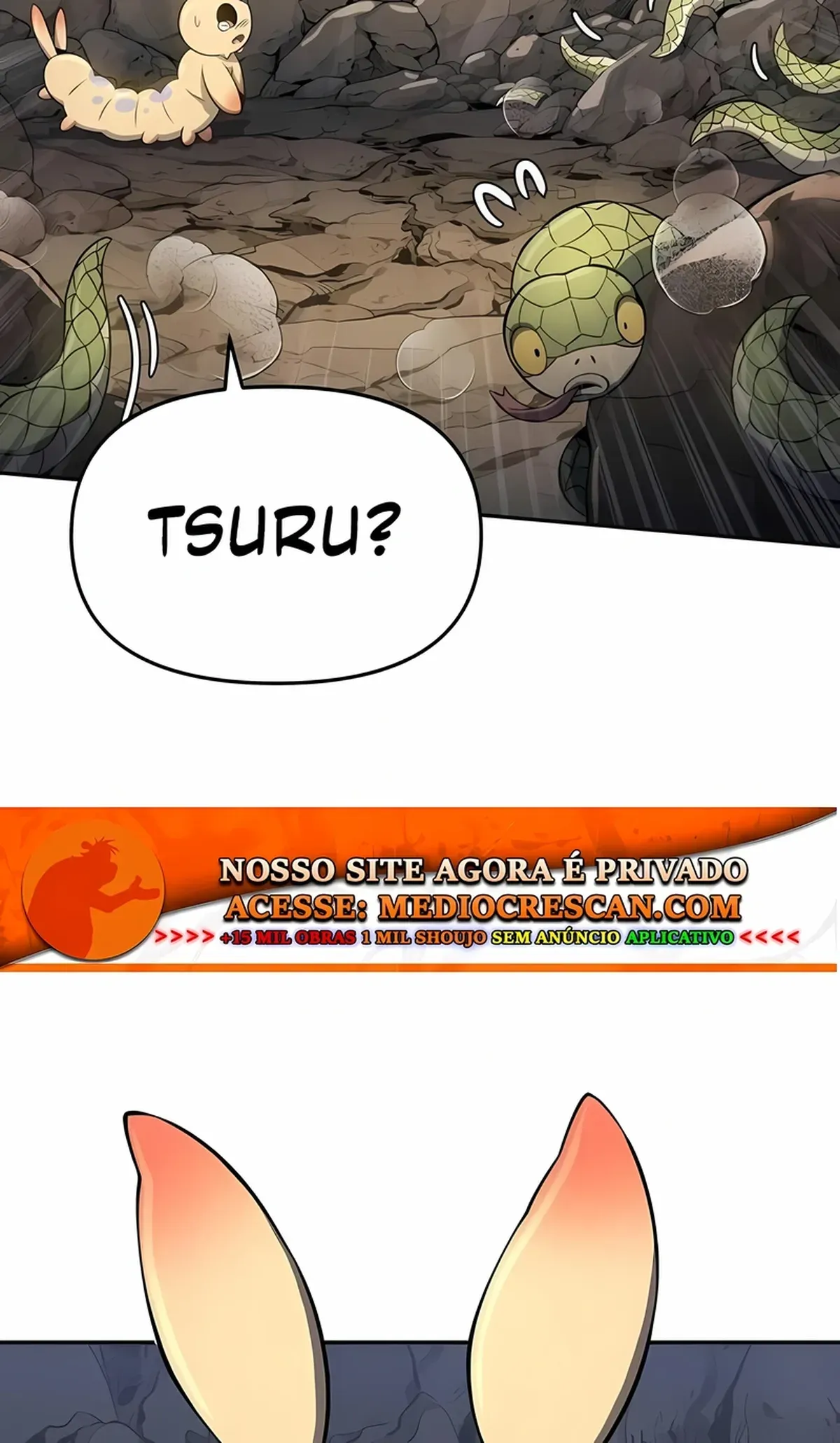 Página 43