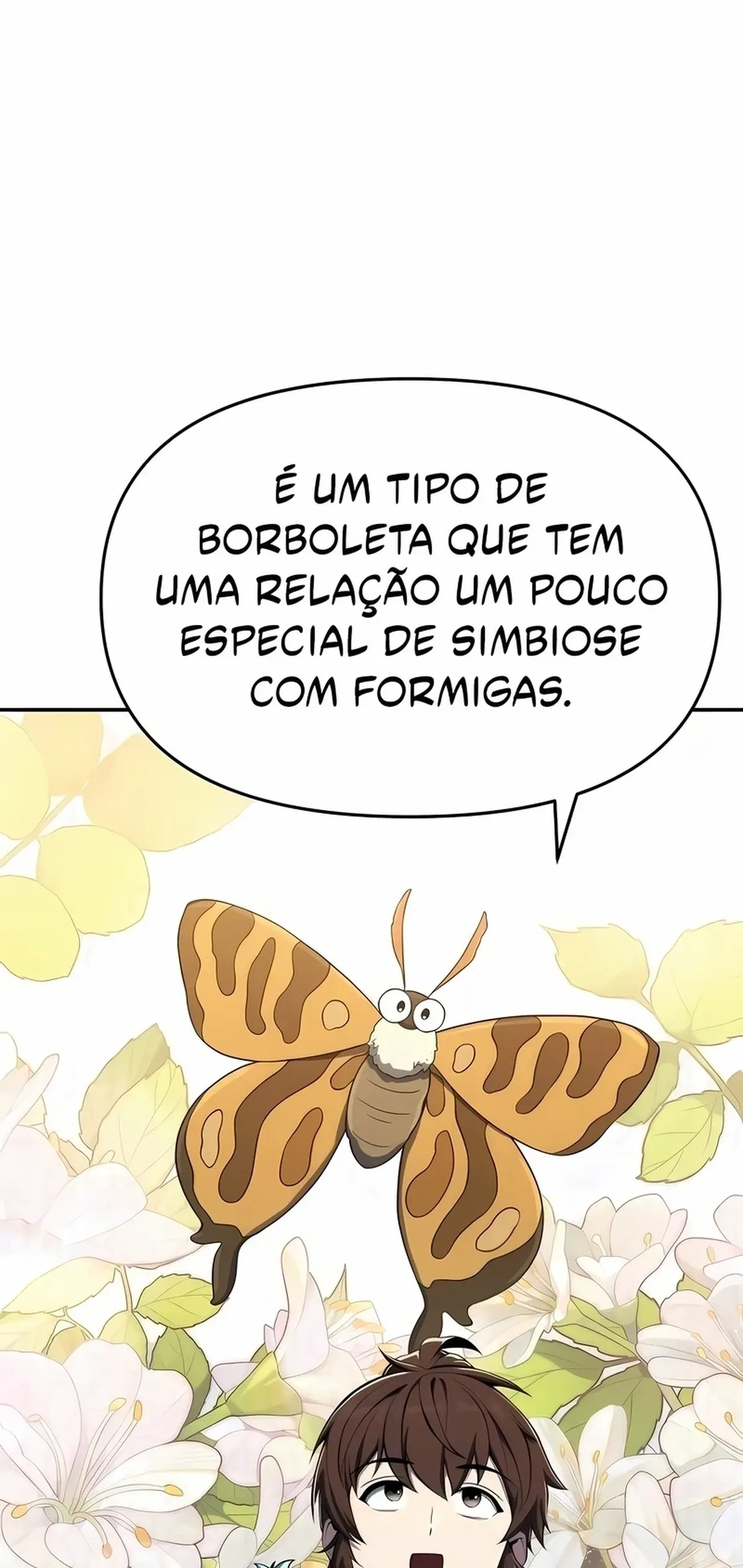 Página 81