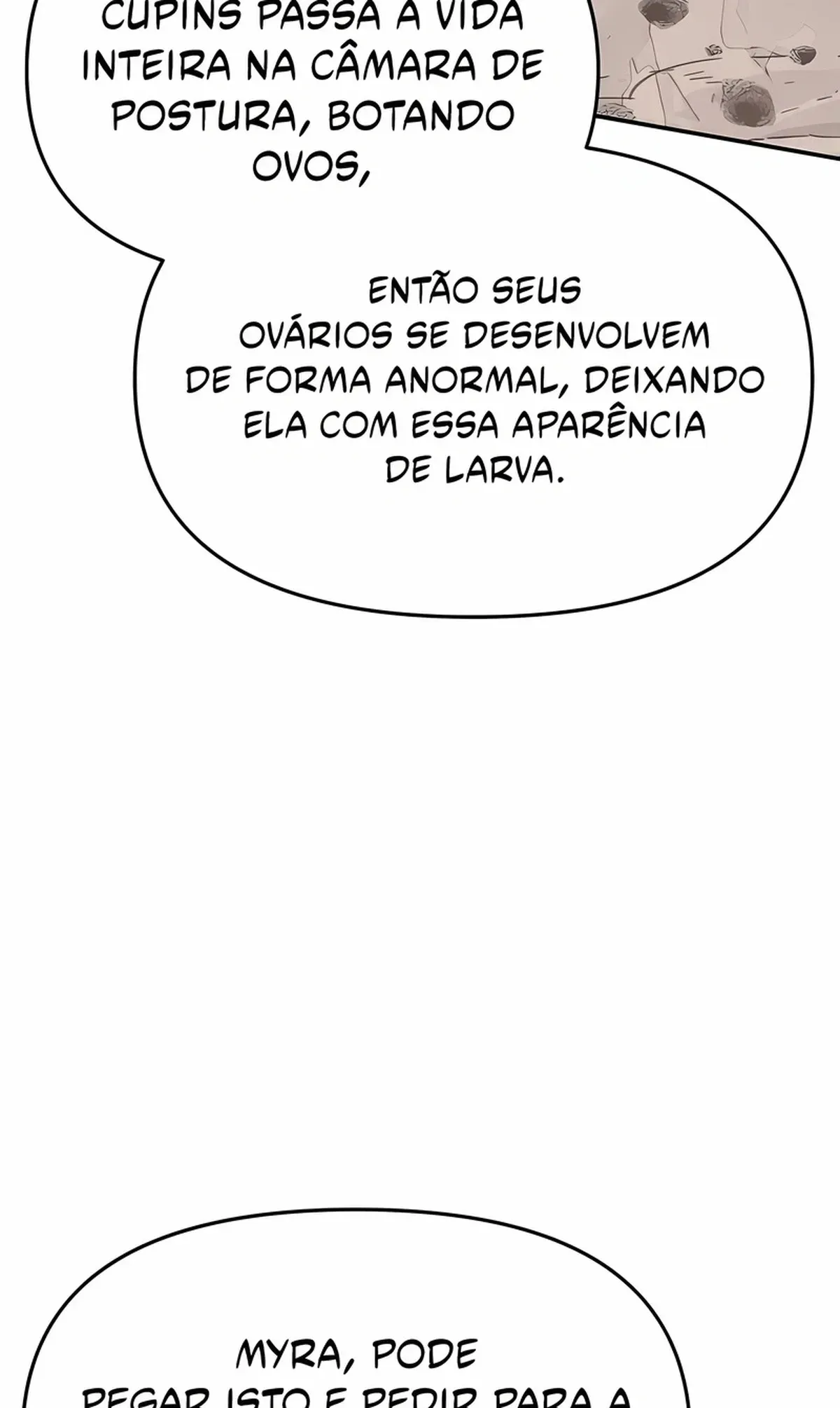 Página 48