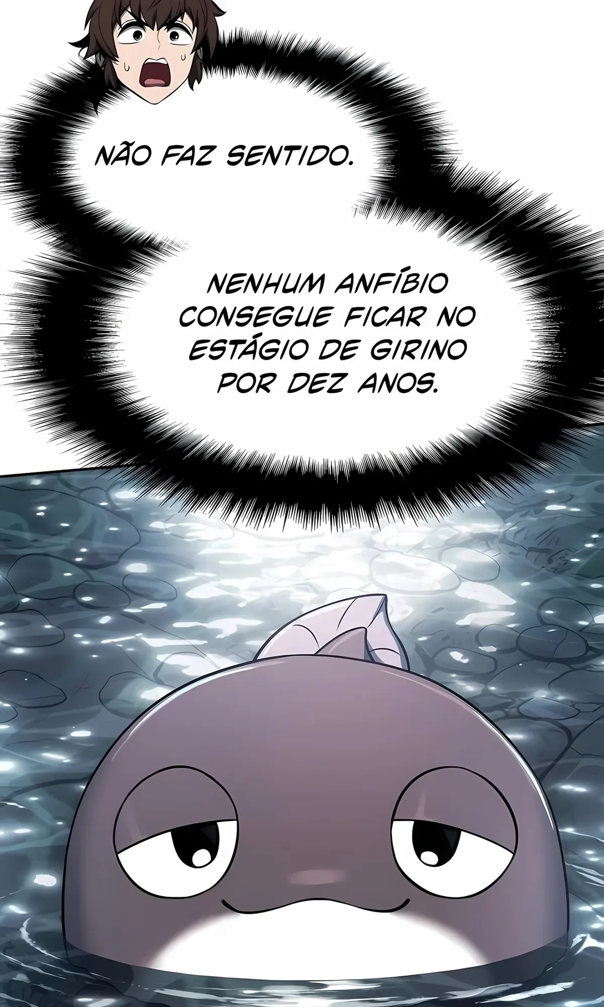Página 48