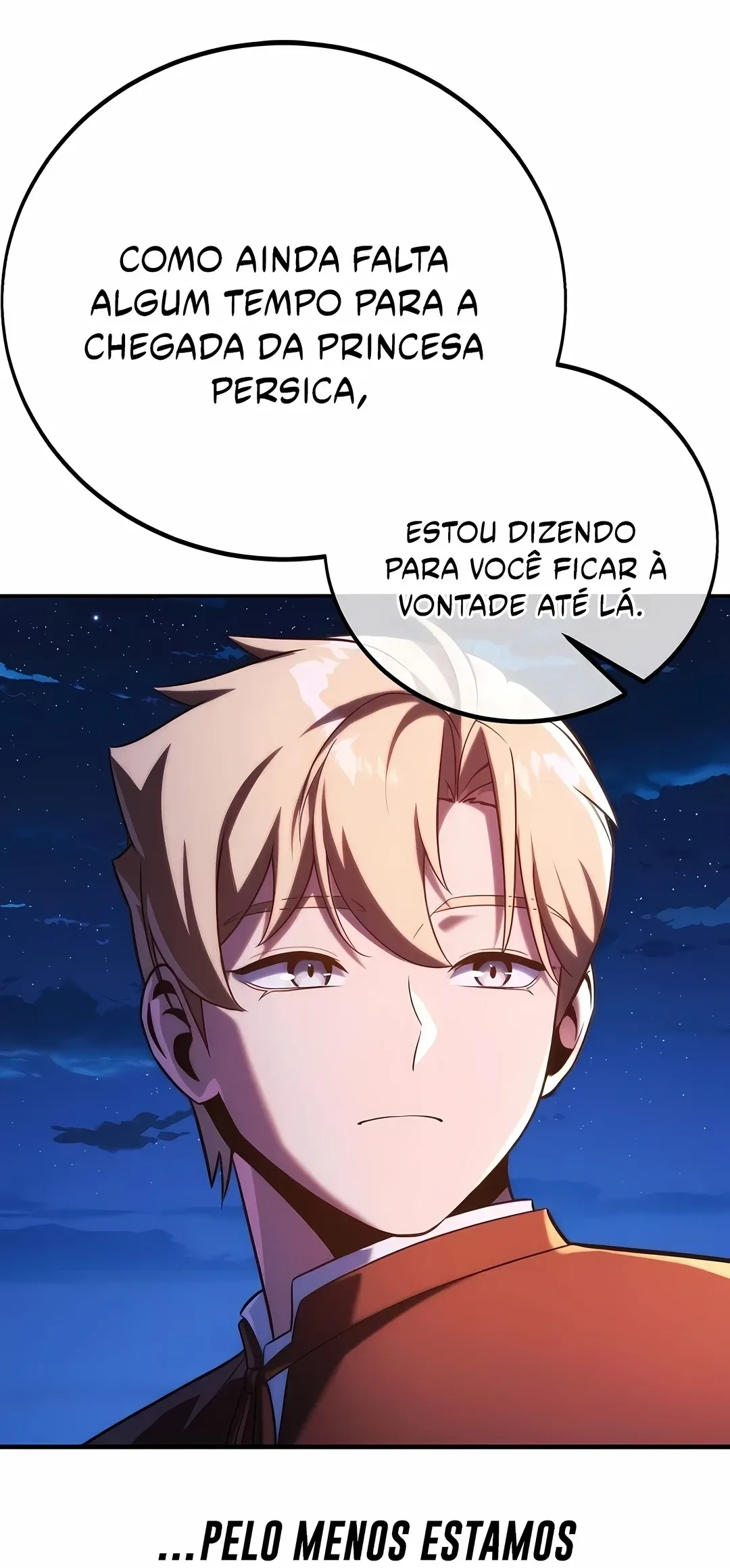 Página 111