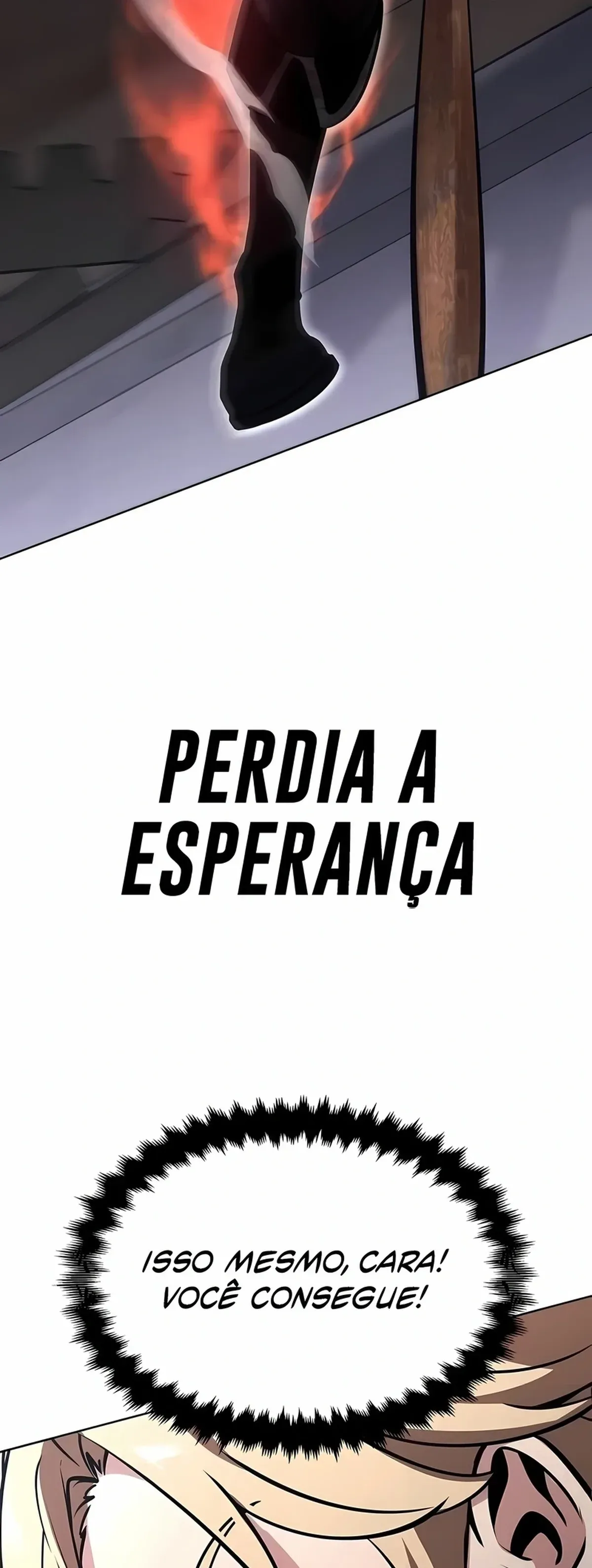 Página 100