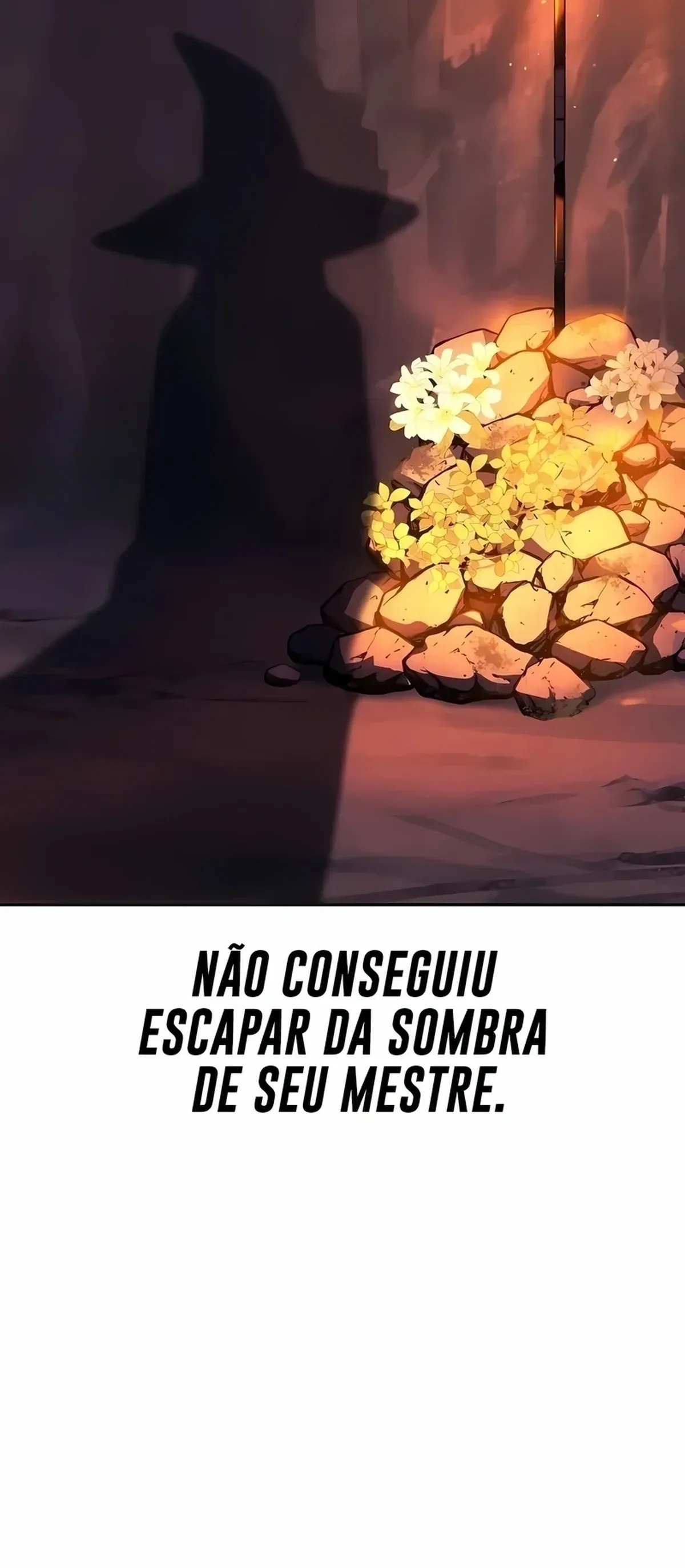 Página 113