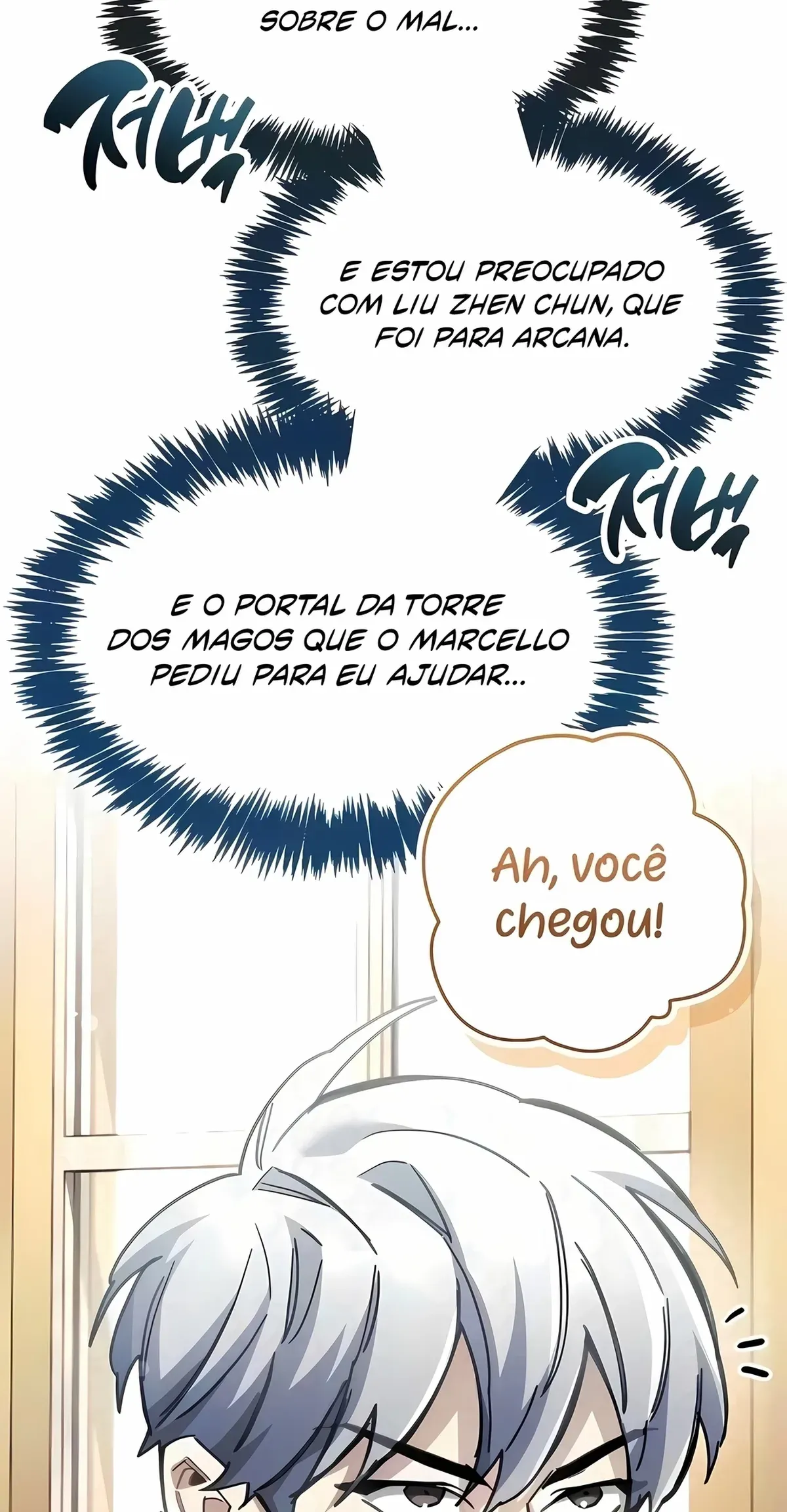 Página 113
