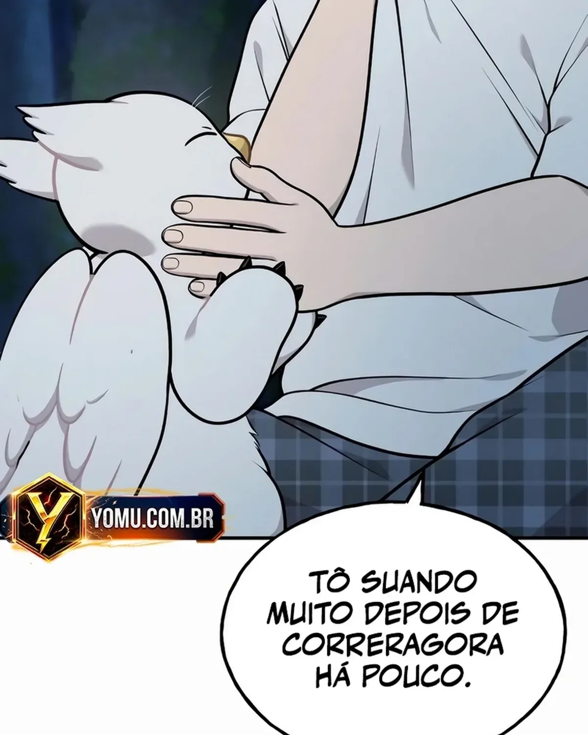 Página 11