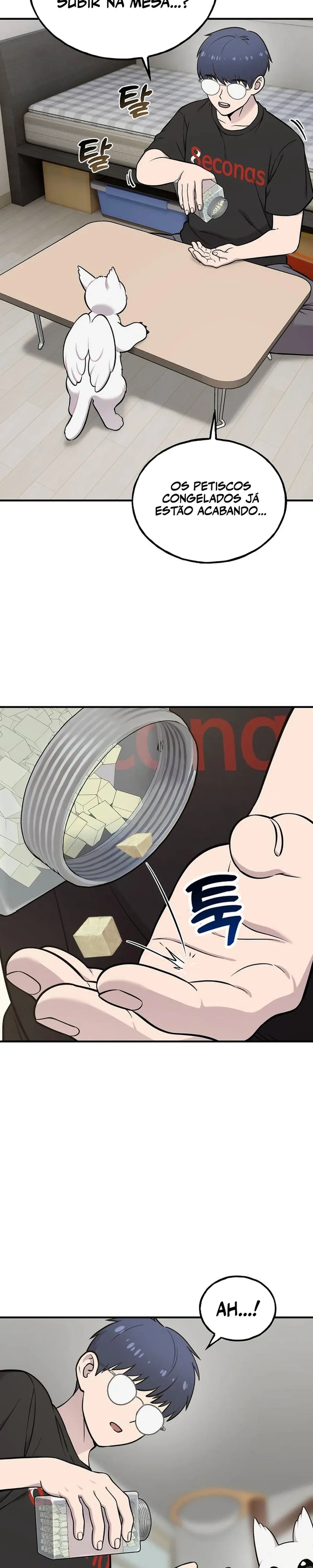 Página 16