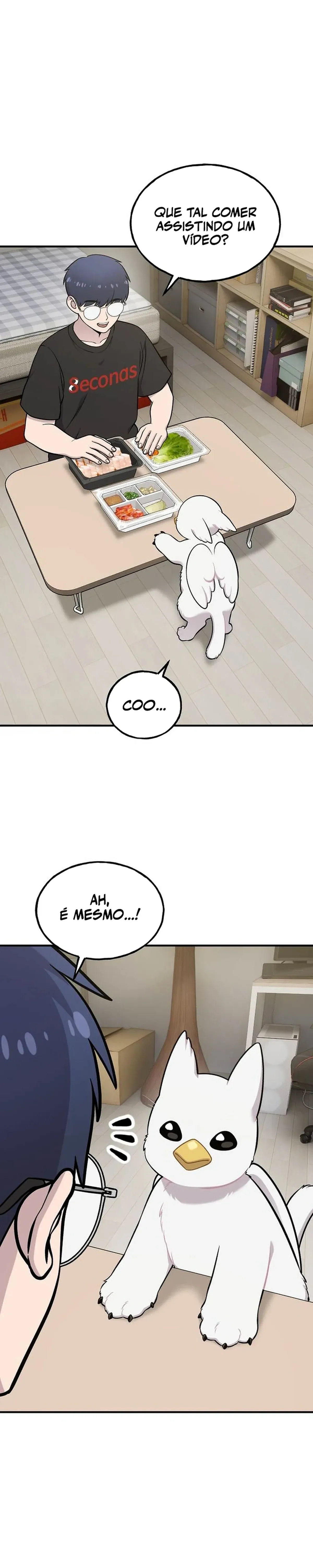 Página 20