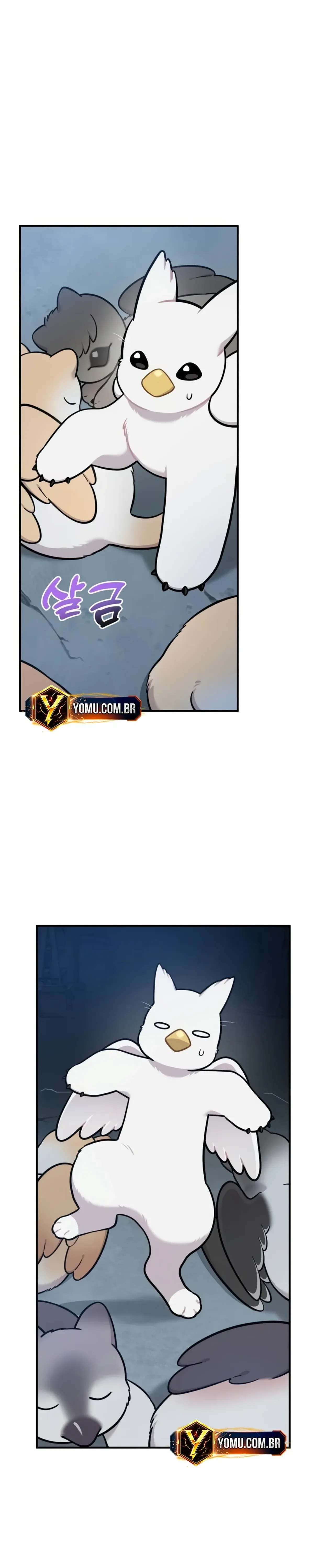 Página 27