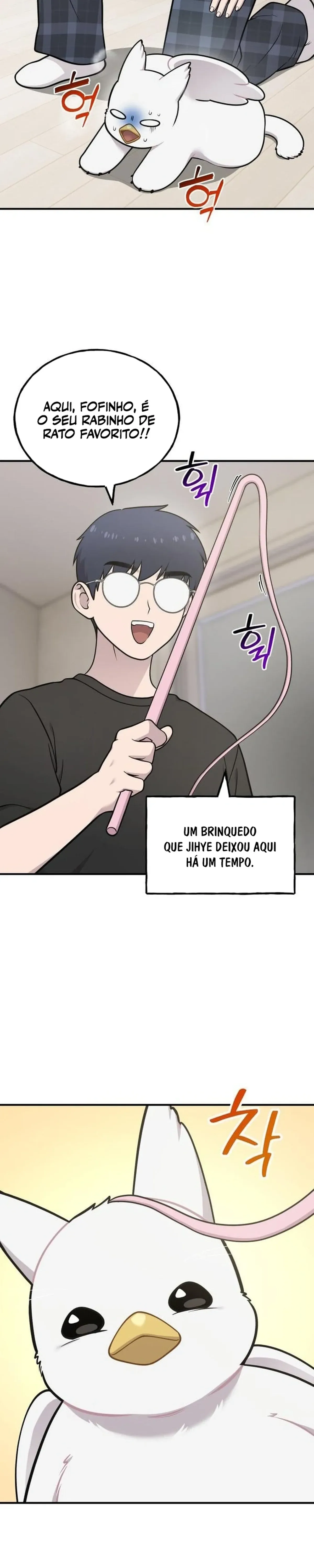 Página 29