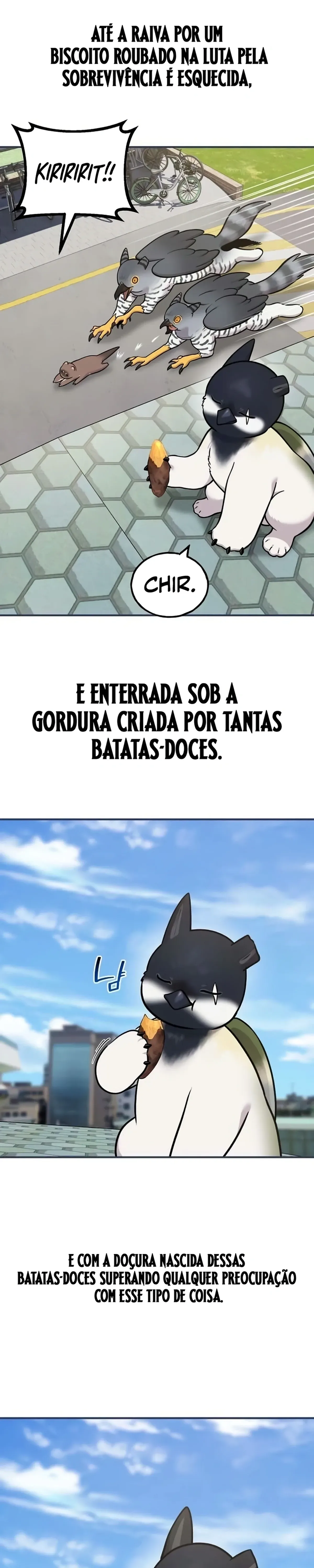 Página 35