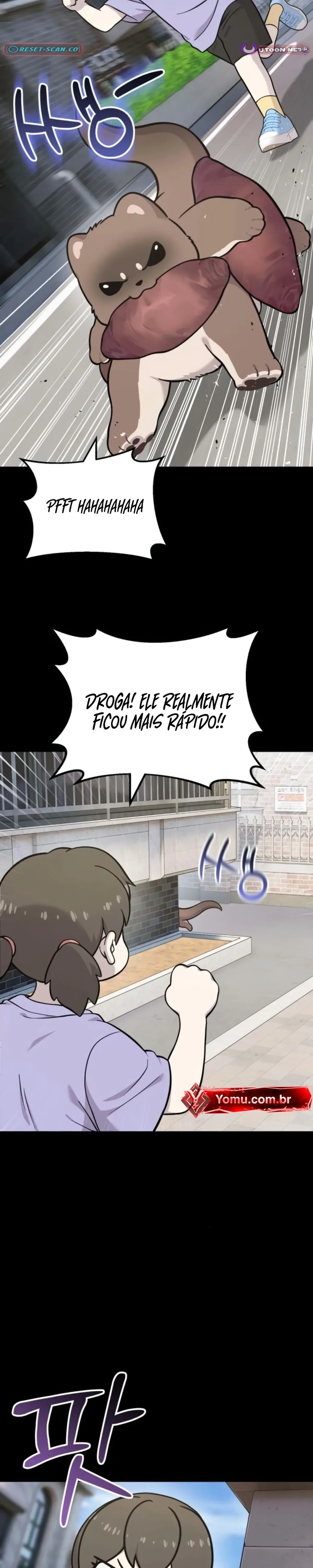 Página 31