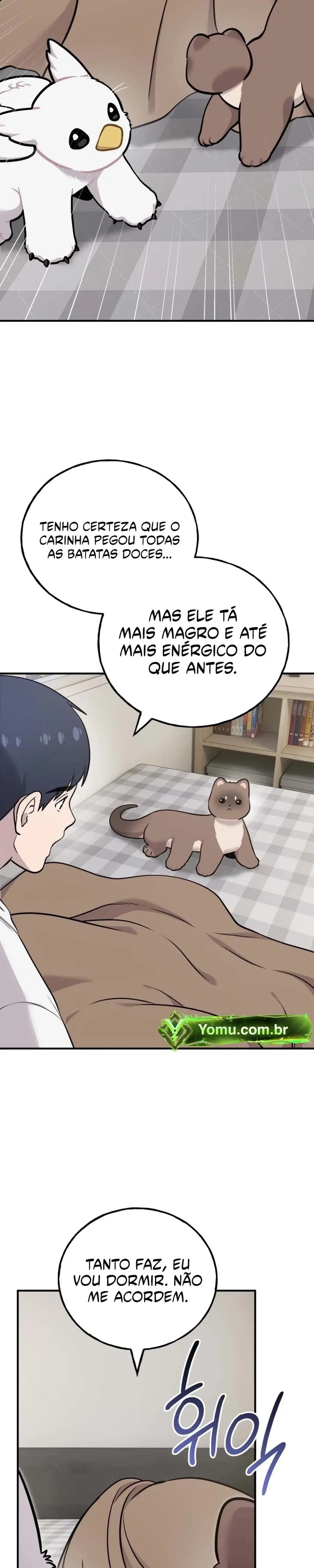 Página 27