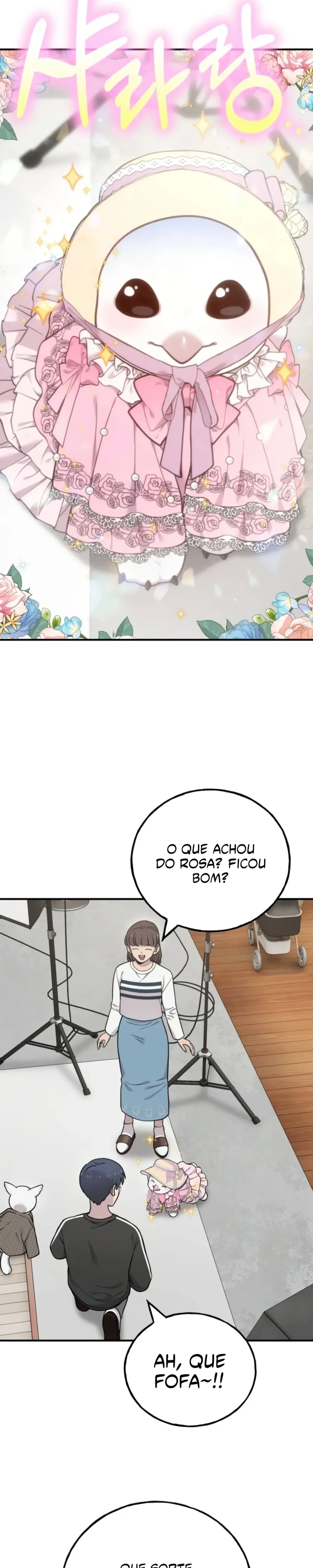 Página 17