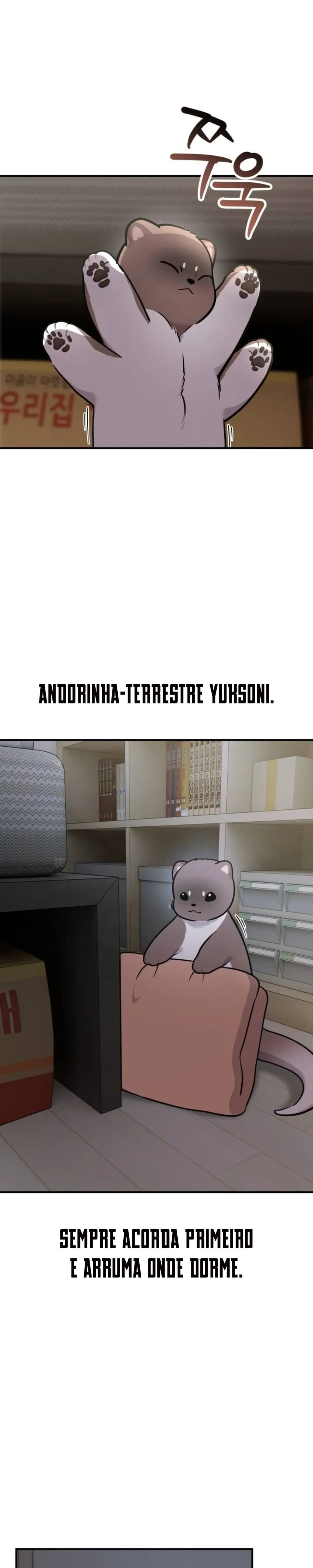Página 17