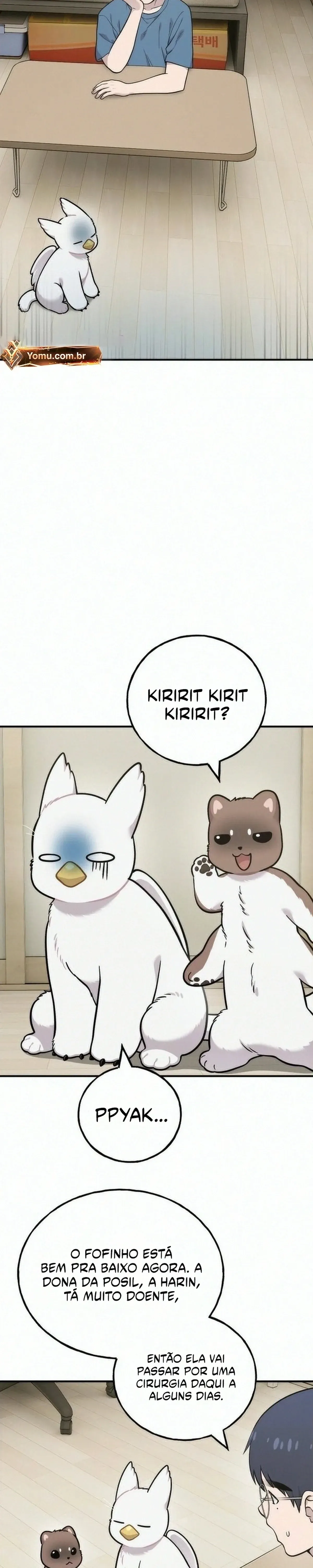 Página 28