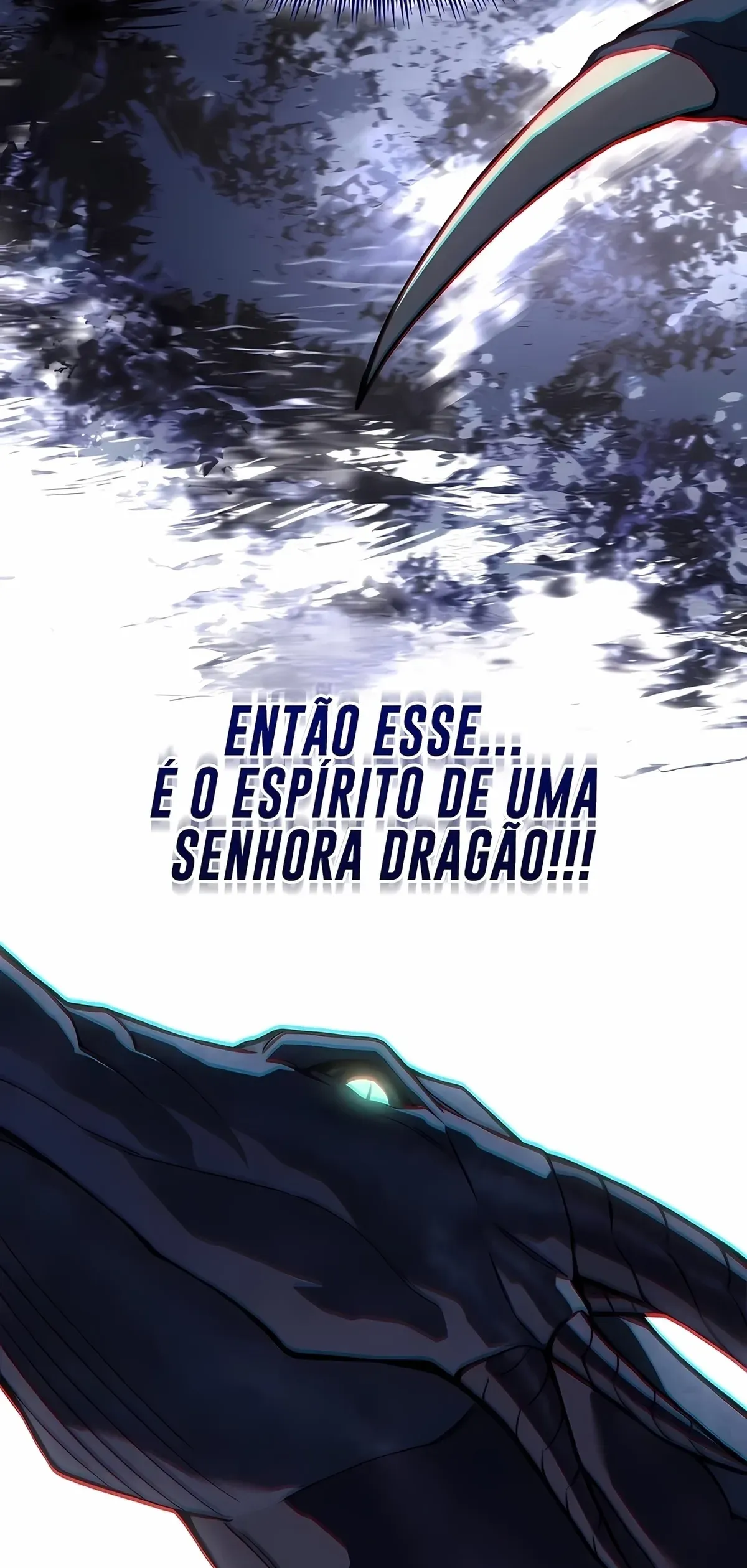 Página 113